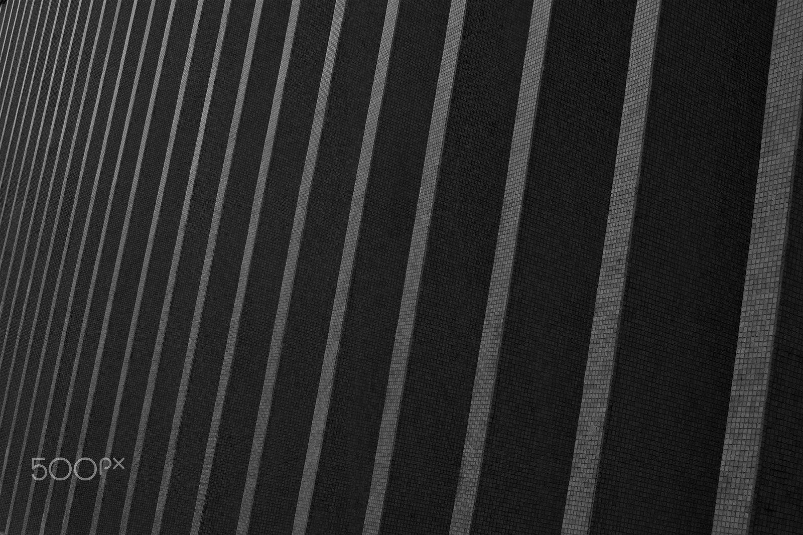 Nikon Df + AF Nikkor 50mm f/1.8 sample photo. Contour lines photography