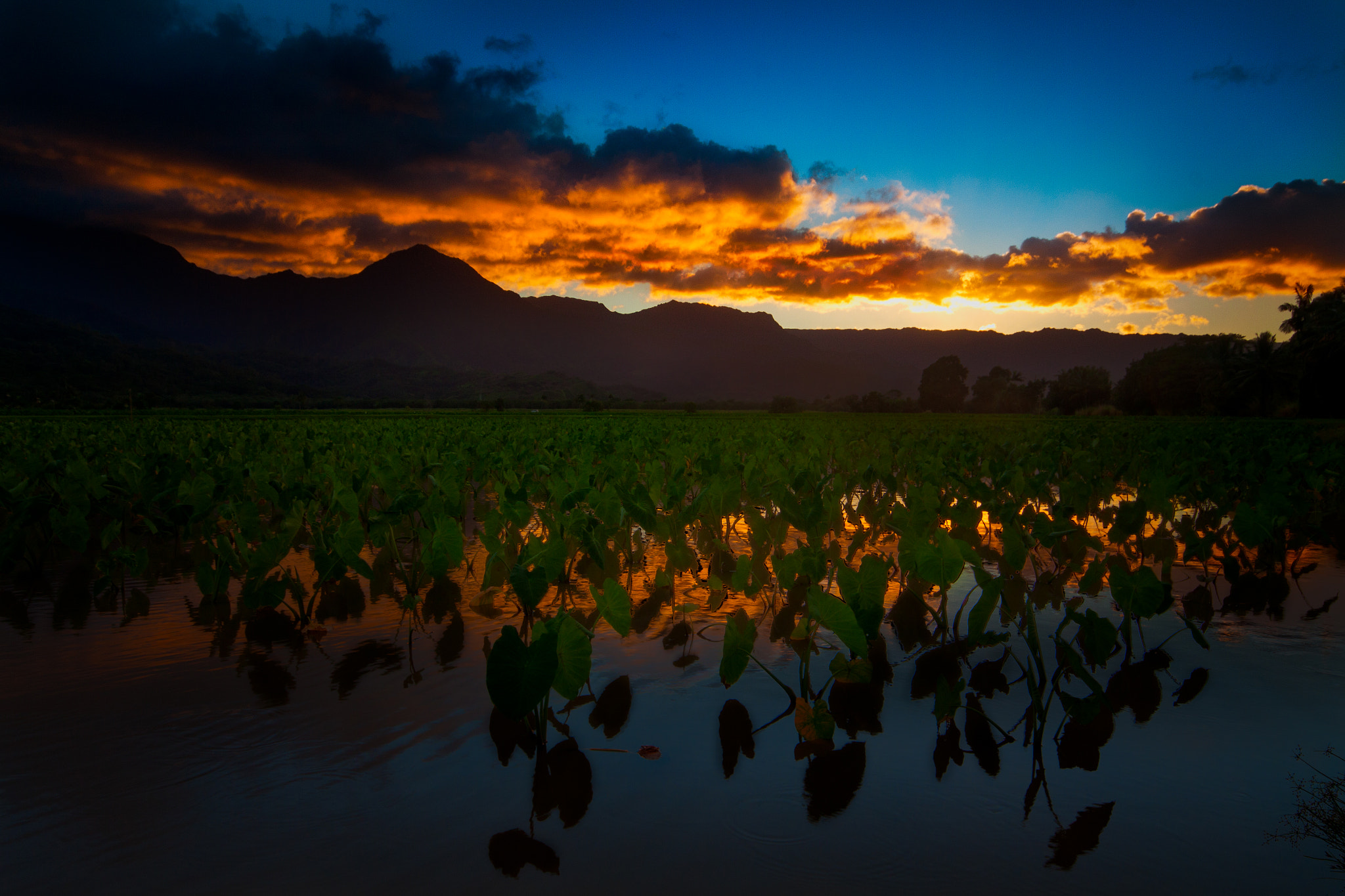 Canon EOS 50D + Sigma 10-20mm F4-5.6 EX DC HSM sample photo. Light field photography