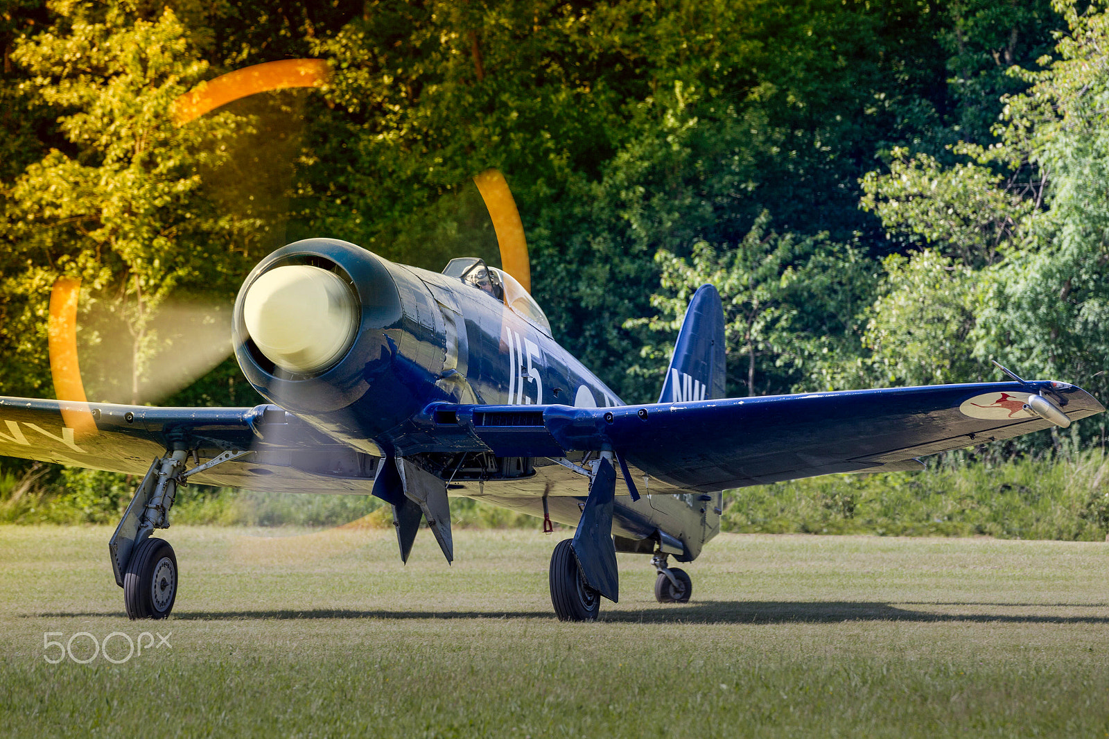 Canon EOS-1D X + Canon EF 500mm F4L IS USM sample photo. Hawker sea fury photography