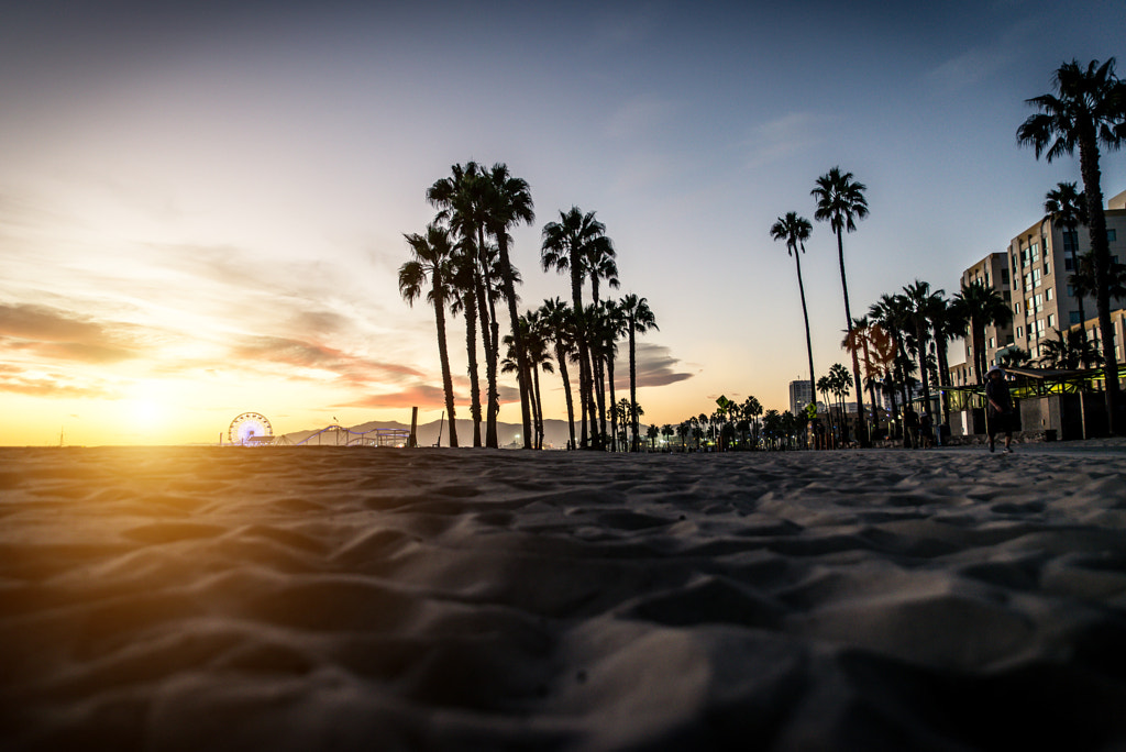 Palm trees silhouettes and Santa monica walkway by Cristian Negroni on 500px.com