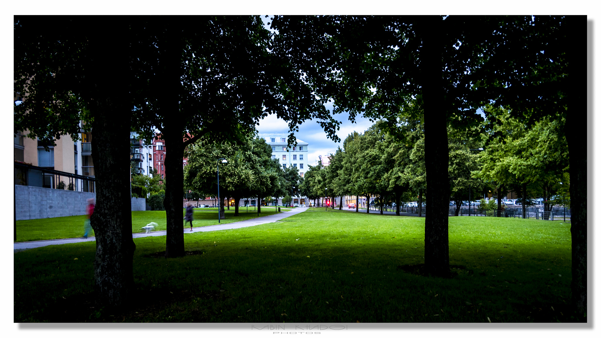 LUMIX G VARIO 12-60/F3.5-5.6 sample photo. Missing summer..)) photography