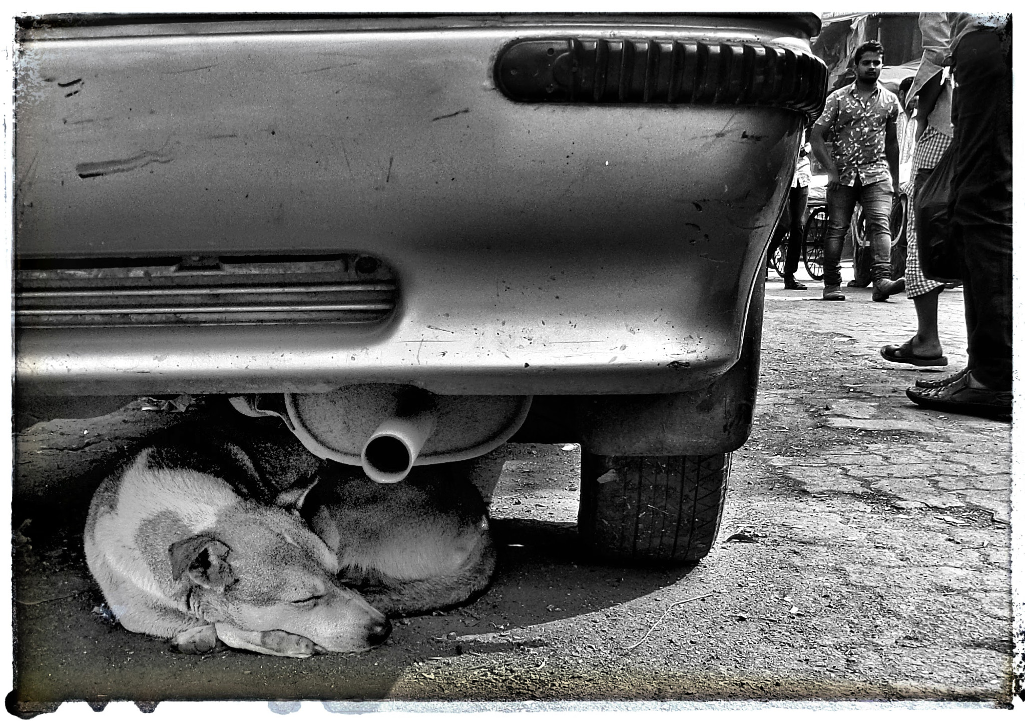 Samsung WB250F/WB251F/WB252F sample photo. Slum dog photography