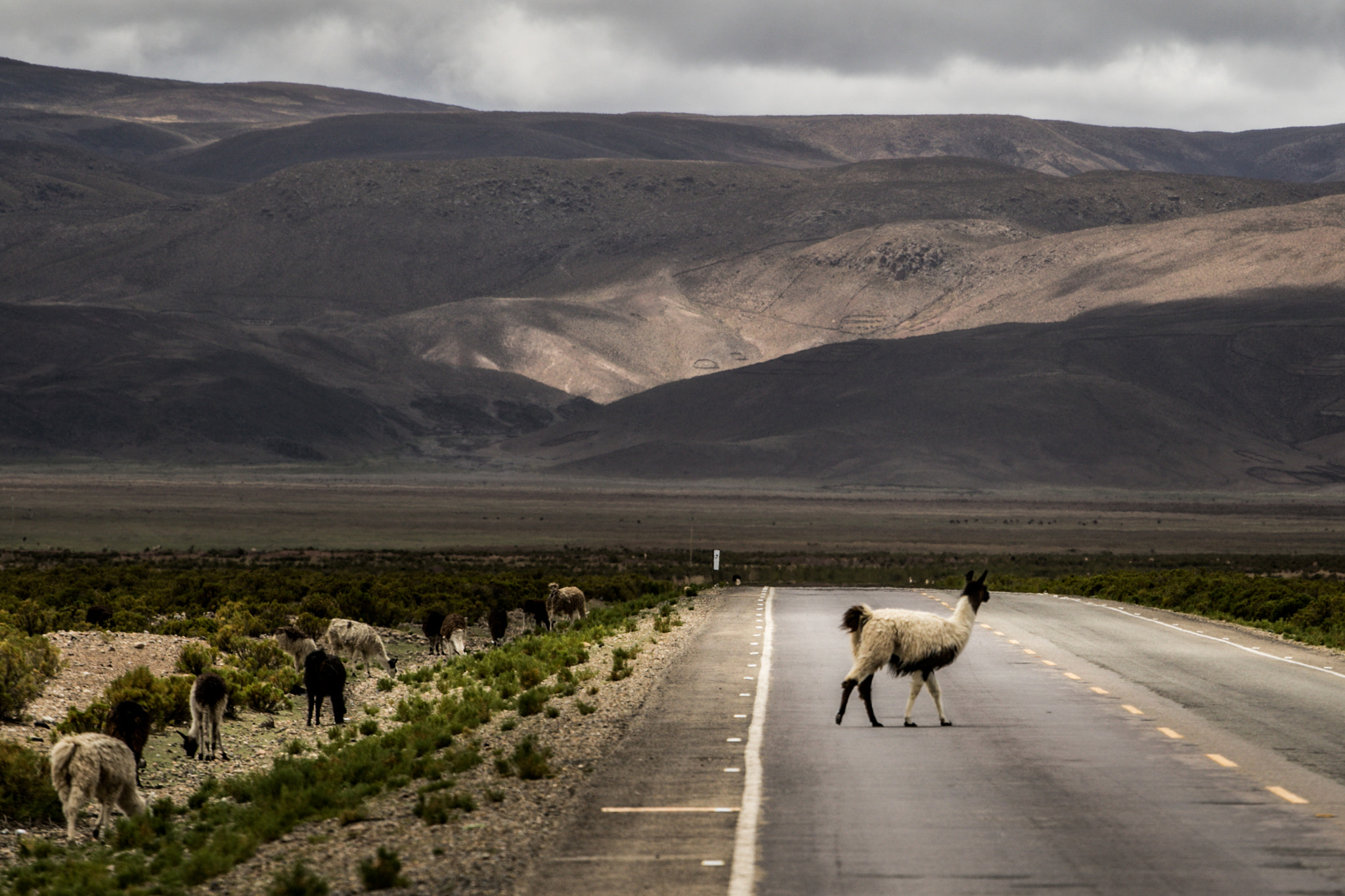 Canon EF 70-200mm F4L USM sample photo. Dakar 2017 photography