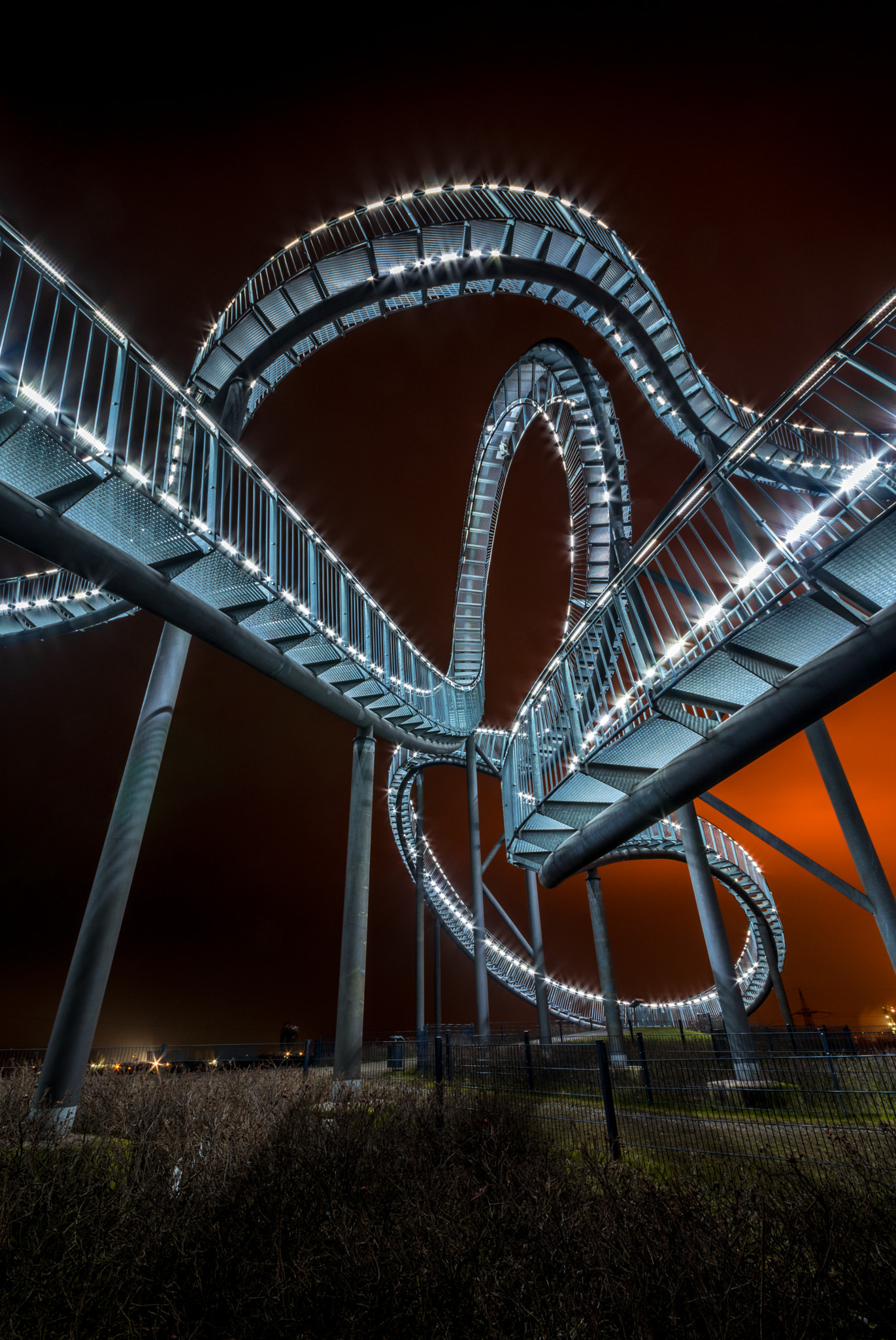 Nikon D5200 + Sigma 10-20mm F4-5.6 EX DC HSM sample photo. Tiger and turtle photography