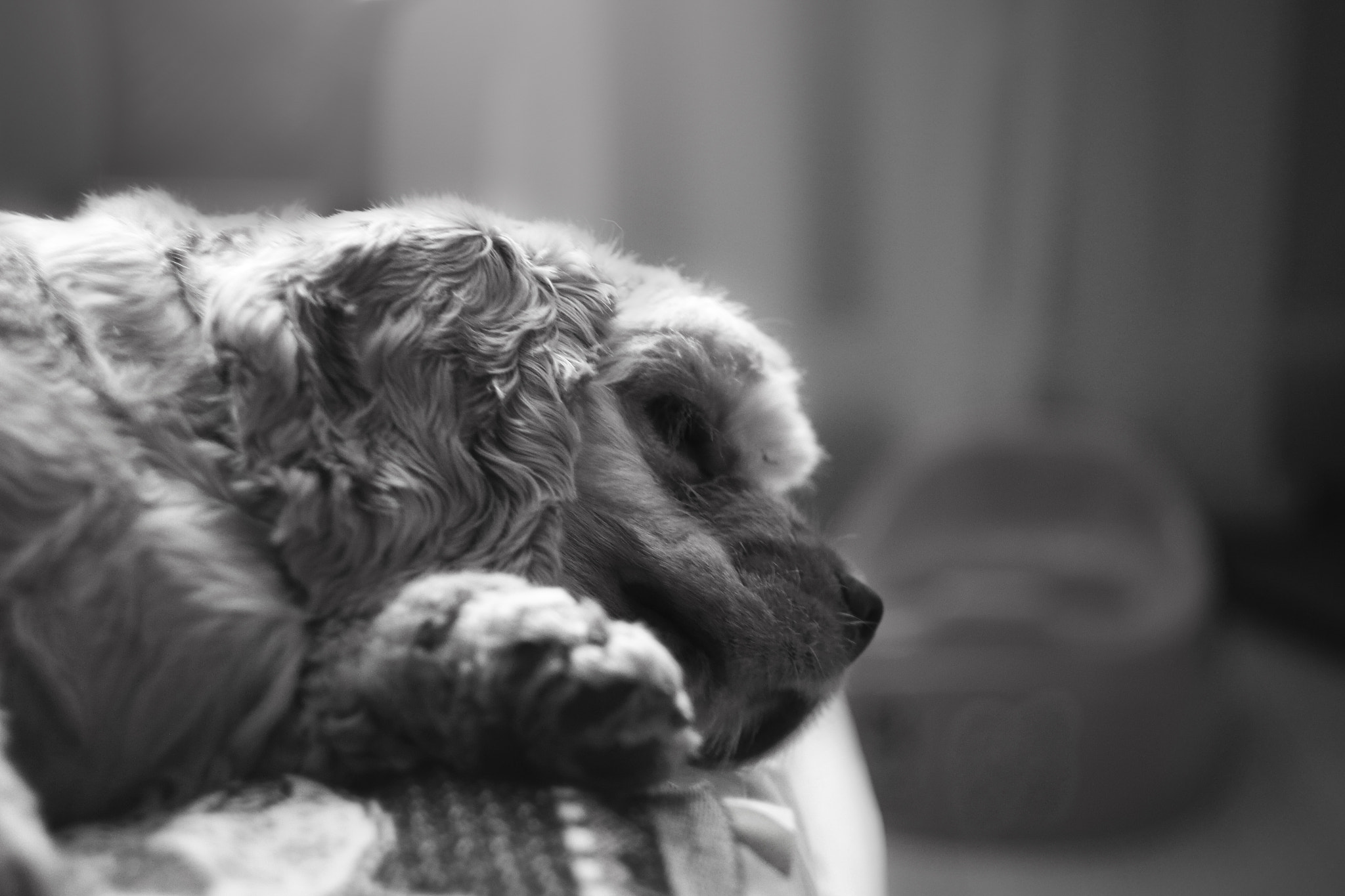 Canon EF 35-80mm f/4-5.6 sample photo. Грусть photography