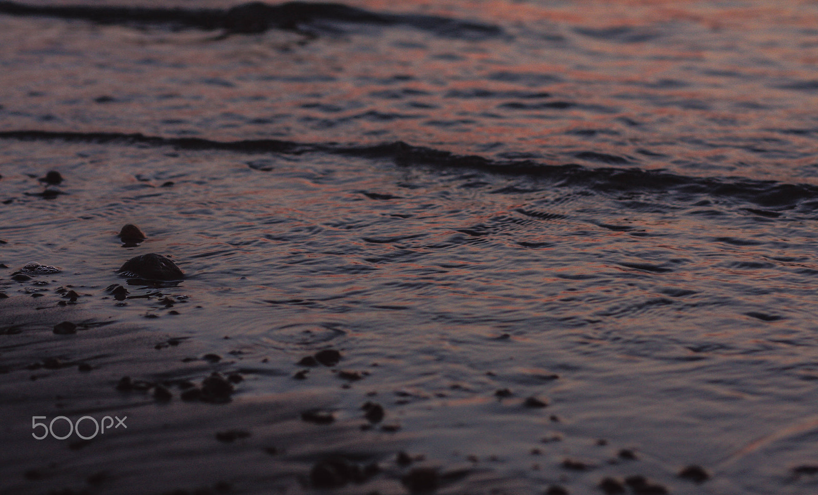 Canon EF 85mm F1.8 USM sample photo. Img photography