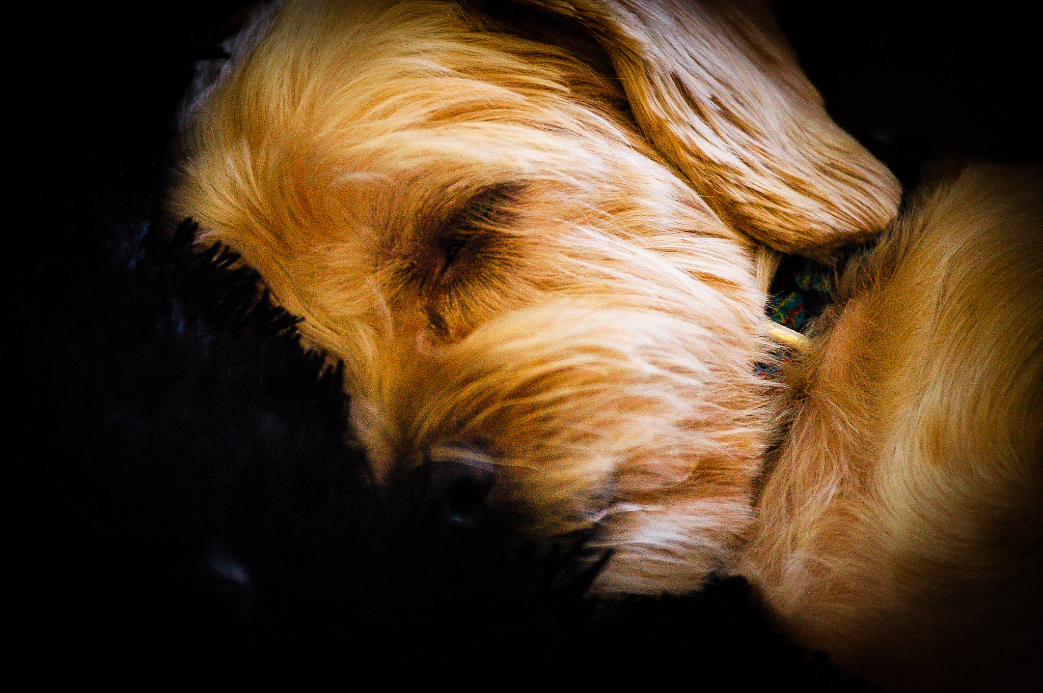 Nikon D70s sample photo
