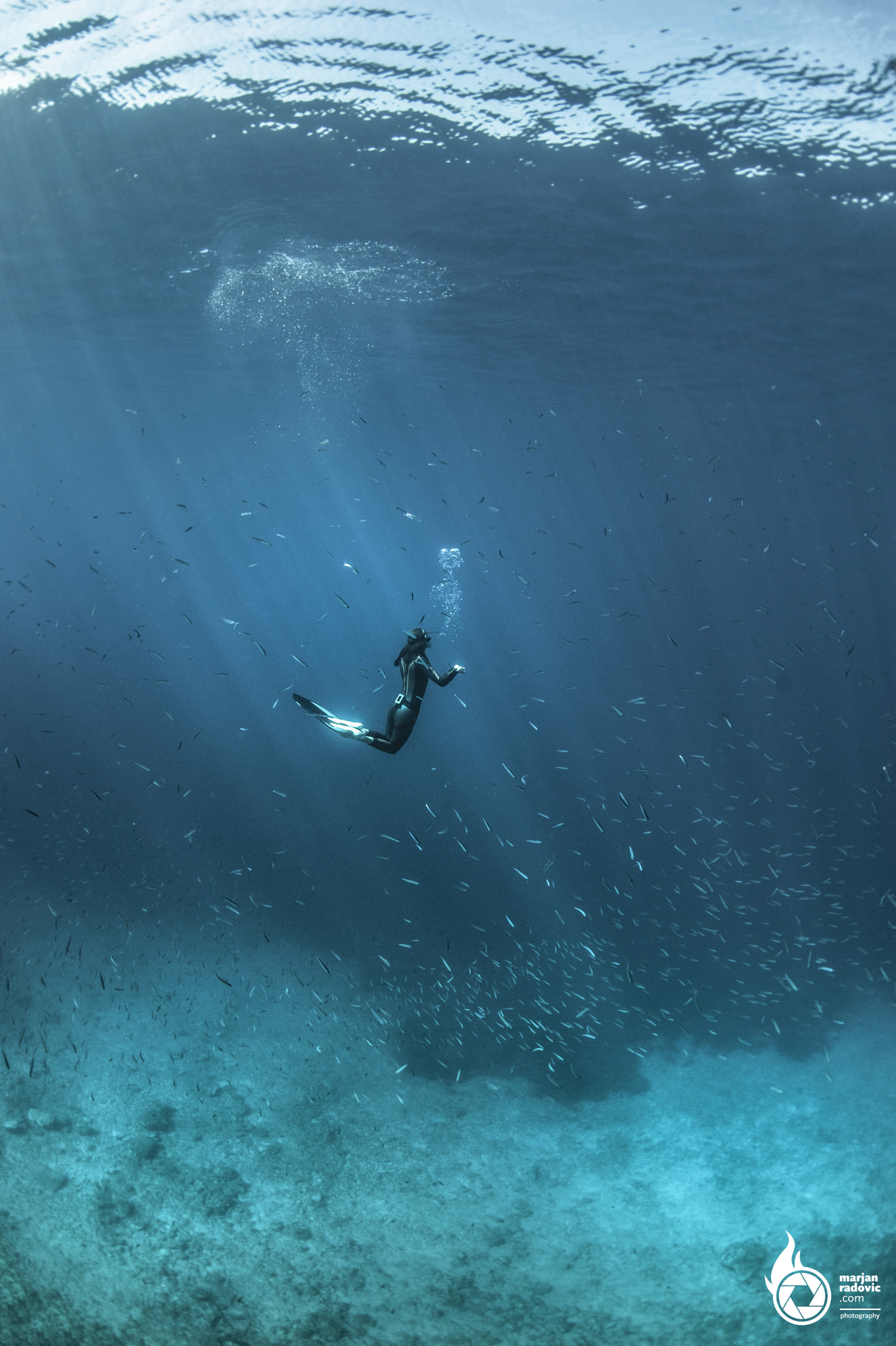 Nikon AF Fisheye-Nikkor 16mm F2.8D sample photo. Freediving photography