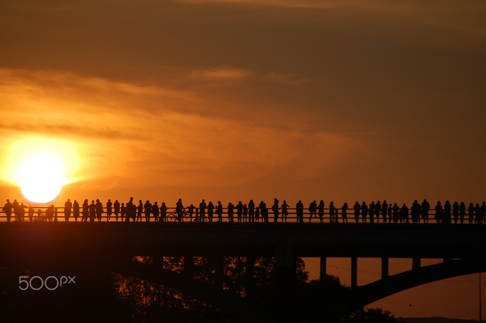 Nikon D40 sample photo. Sunset silhoutte photography