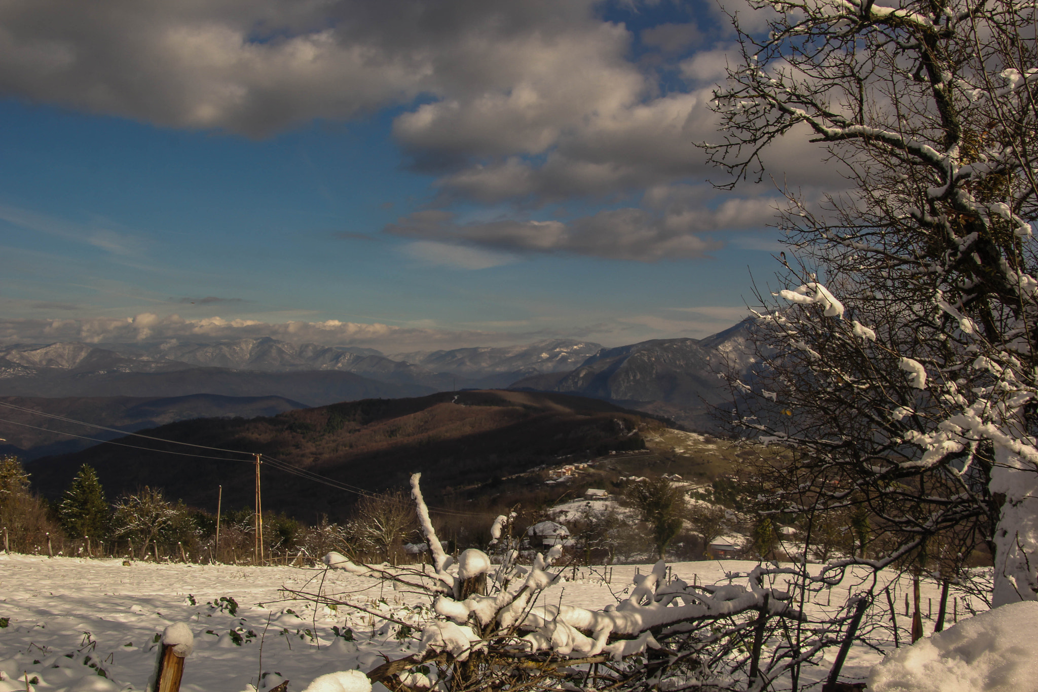 Canon EOS 60D sample photo. Img photography