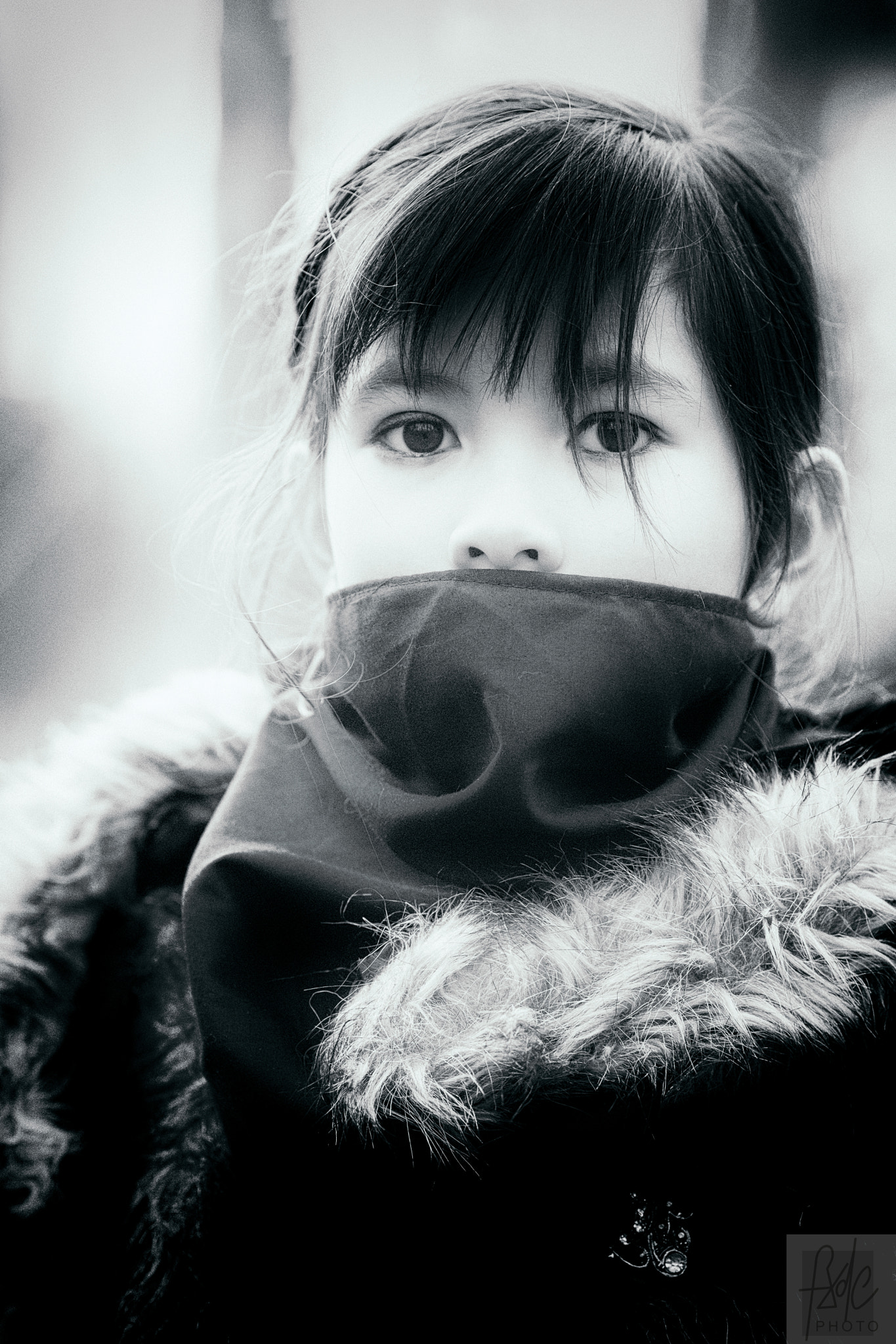 Fujifilm X-Pro2 + Fujifilm XF 90mm F2 R LM WR sample photo. 32597513595.jpg photography
