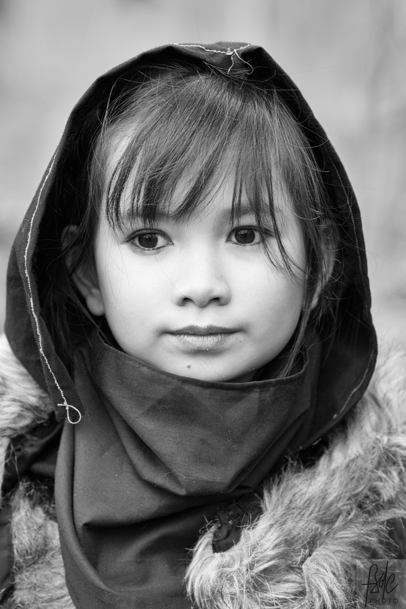 Fujifilm X-Pro2 + Fujifilm XF 90mm F2 R LM WR sample photo. 32463233772.jpg photography
