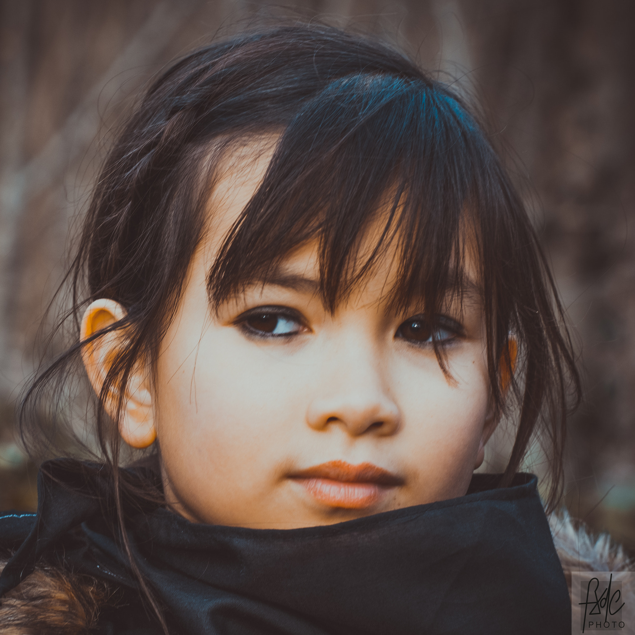Fujifilm X-Pro2 + Fujifilm XF 90mm F2 R LM WR sample photo. 32596301635.jpg photography