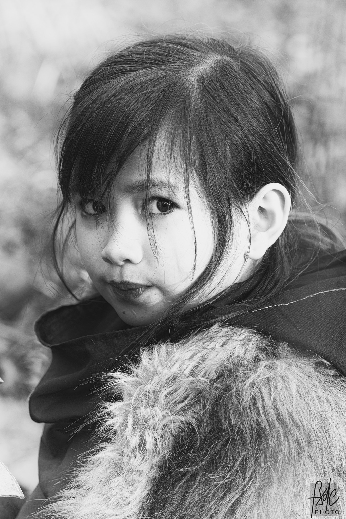 Fujifilm X-Pro2 + Fujifilm XF 90mm F2 R LM WR sample photo. 32584431065.jpg photography