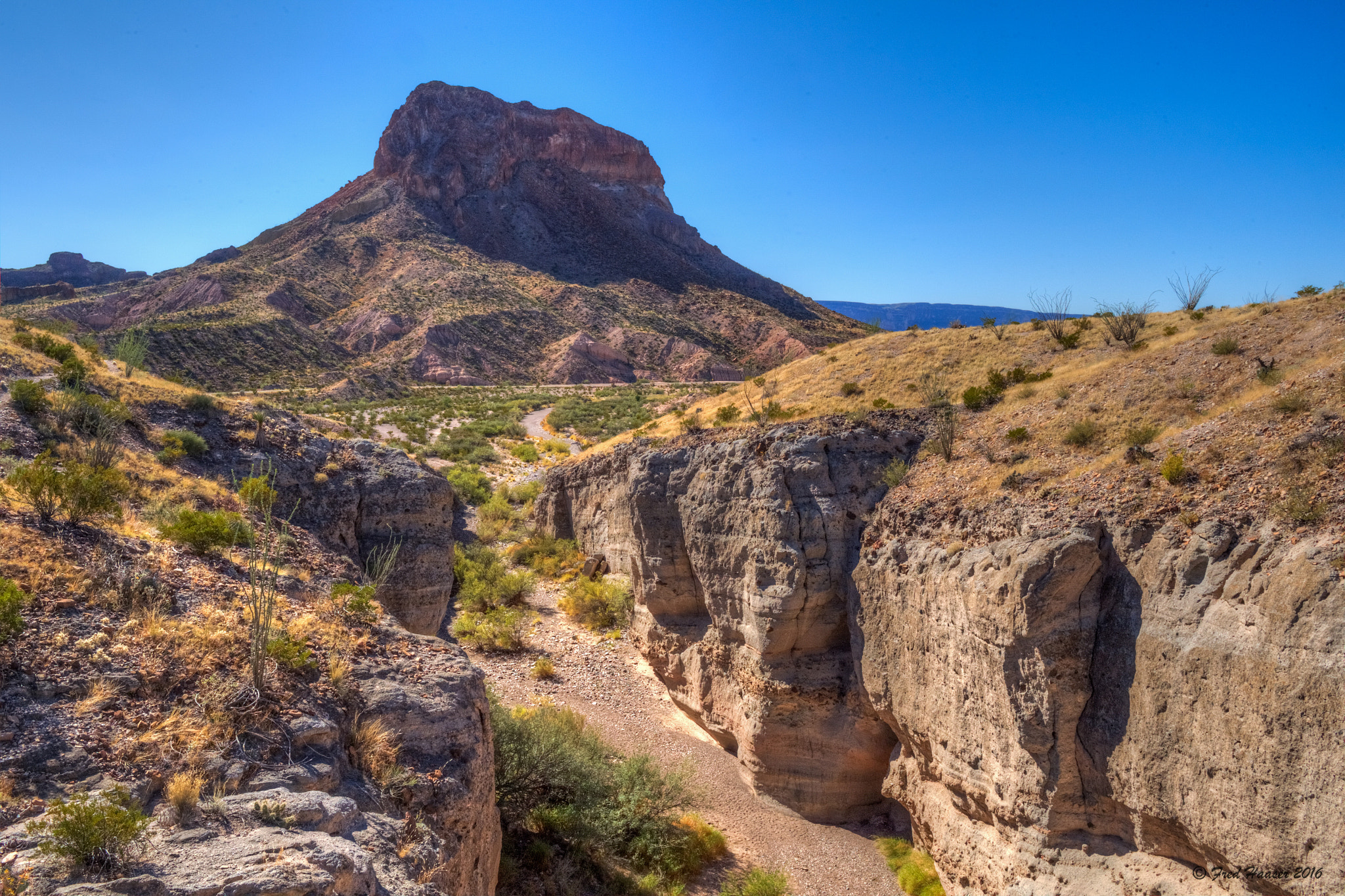 Nikon AF-S Nikkor 24-70mm F2.8E ED VR sample photo. Peak seen from canyon overlook in big bend park photography