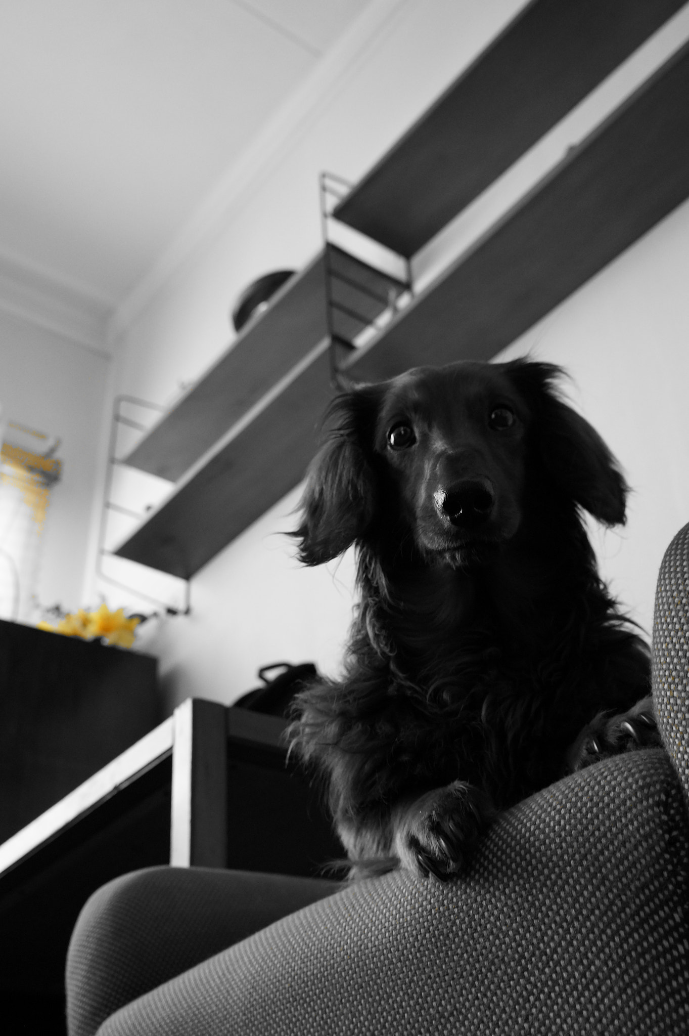 Sony E 18-50mm F4-5.6 sample photo. Dsco photography