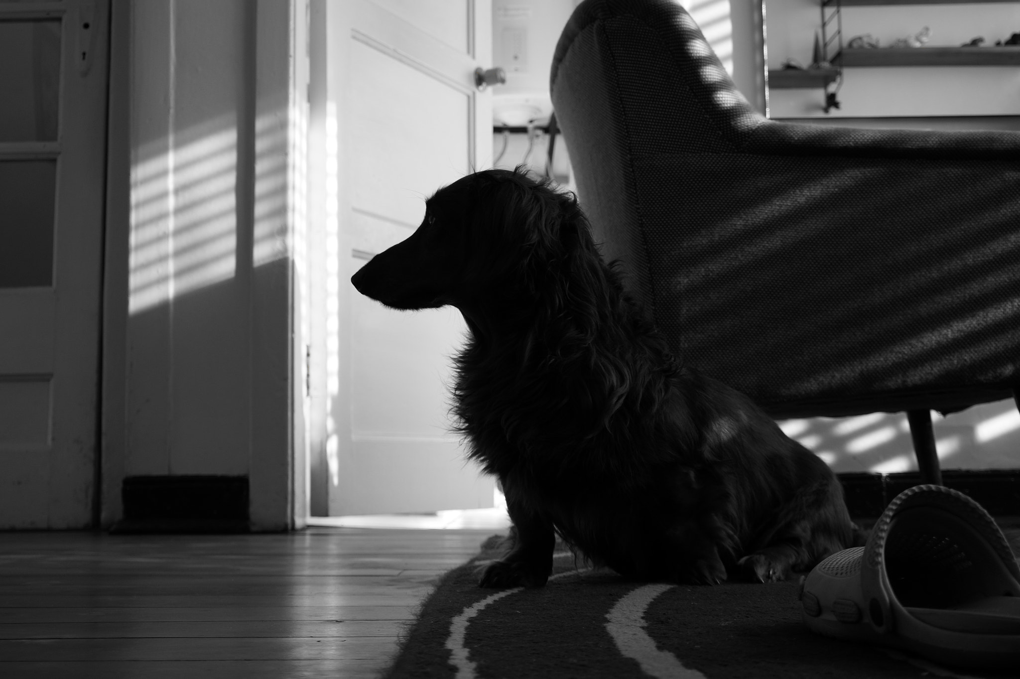 Sony E 18-50mm F4-5.6 sample photo. Dsco photography