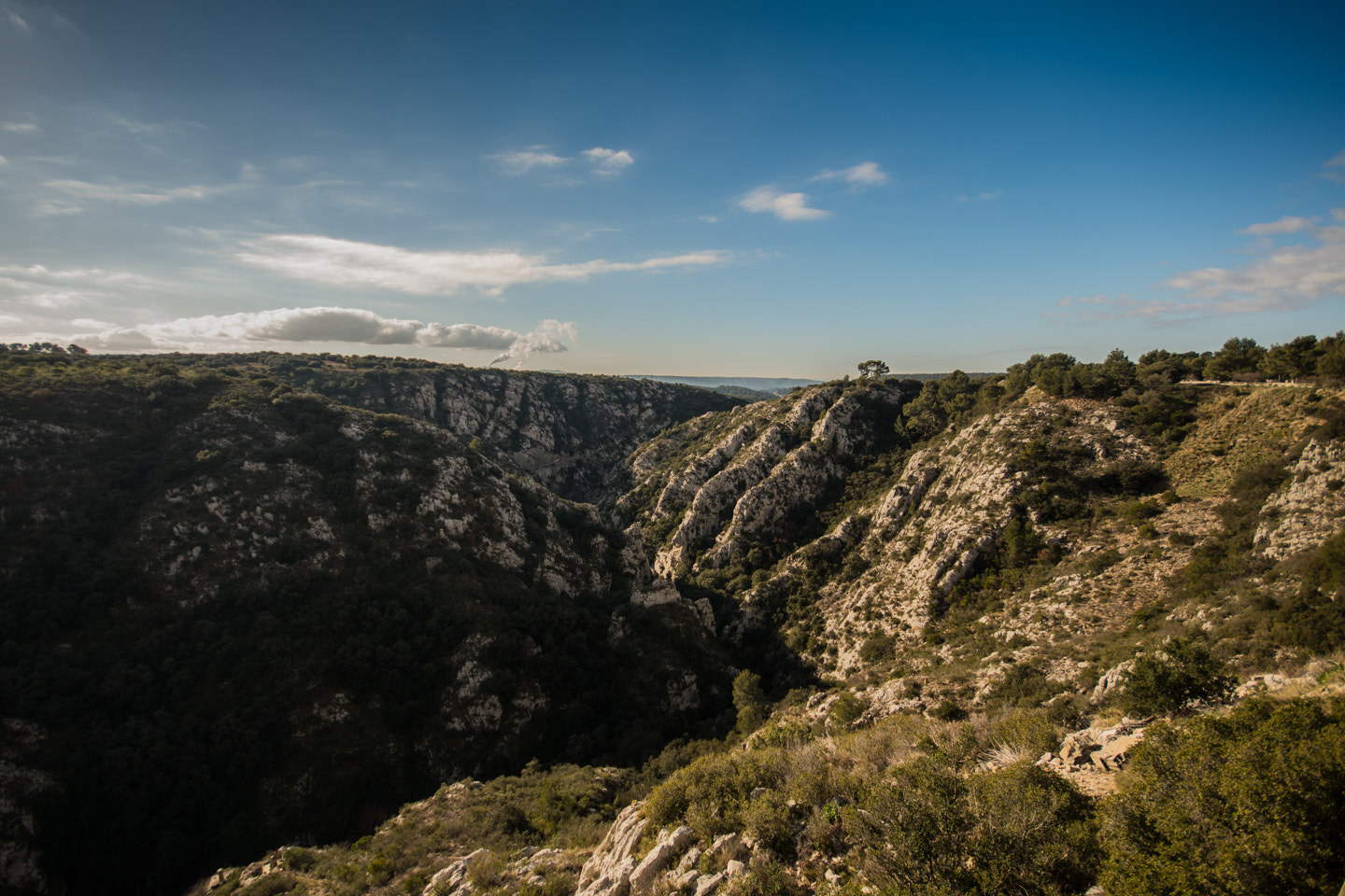 Sigma 10-20mm F4-5.6 EX DC HSM sample photo. Bimont photography
