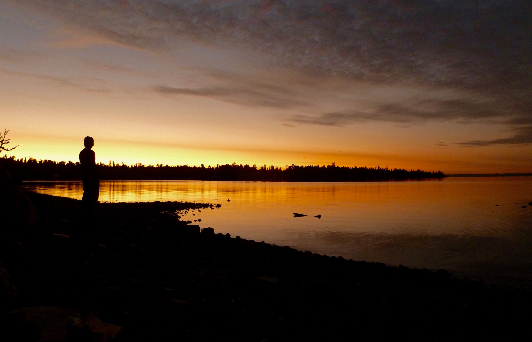 Panasonic Lumix DMC-ZS5 (Lumix DMC-TZ8) sample photo. Ñilcahue photography