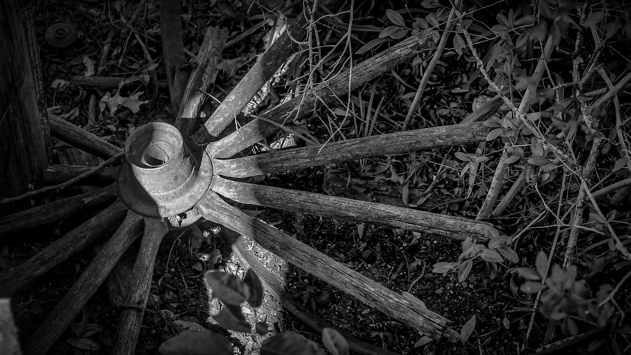 Panasonic Lumix G 42.5mm F1.7 ASPH Power OIS sample photo. A wagon wheel in the grass photography