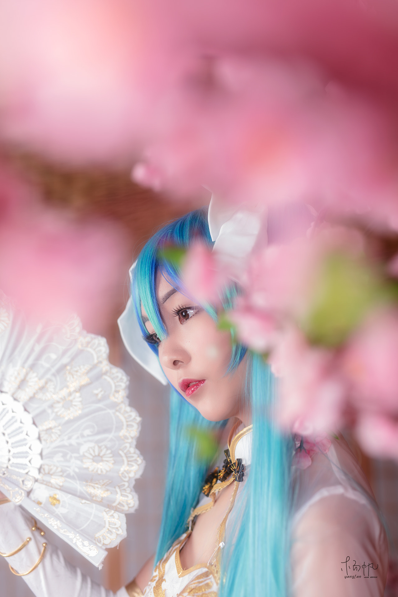 Sigma 50mm F1.4 EX DG HSM sample photo. 金丝雀 photography