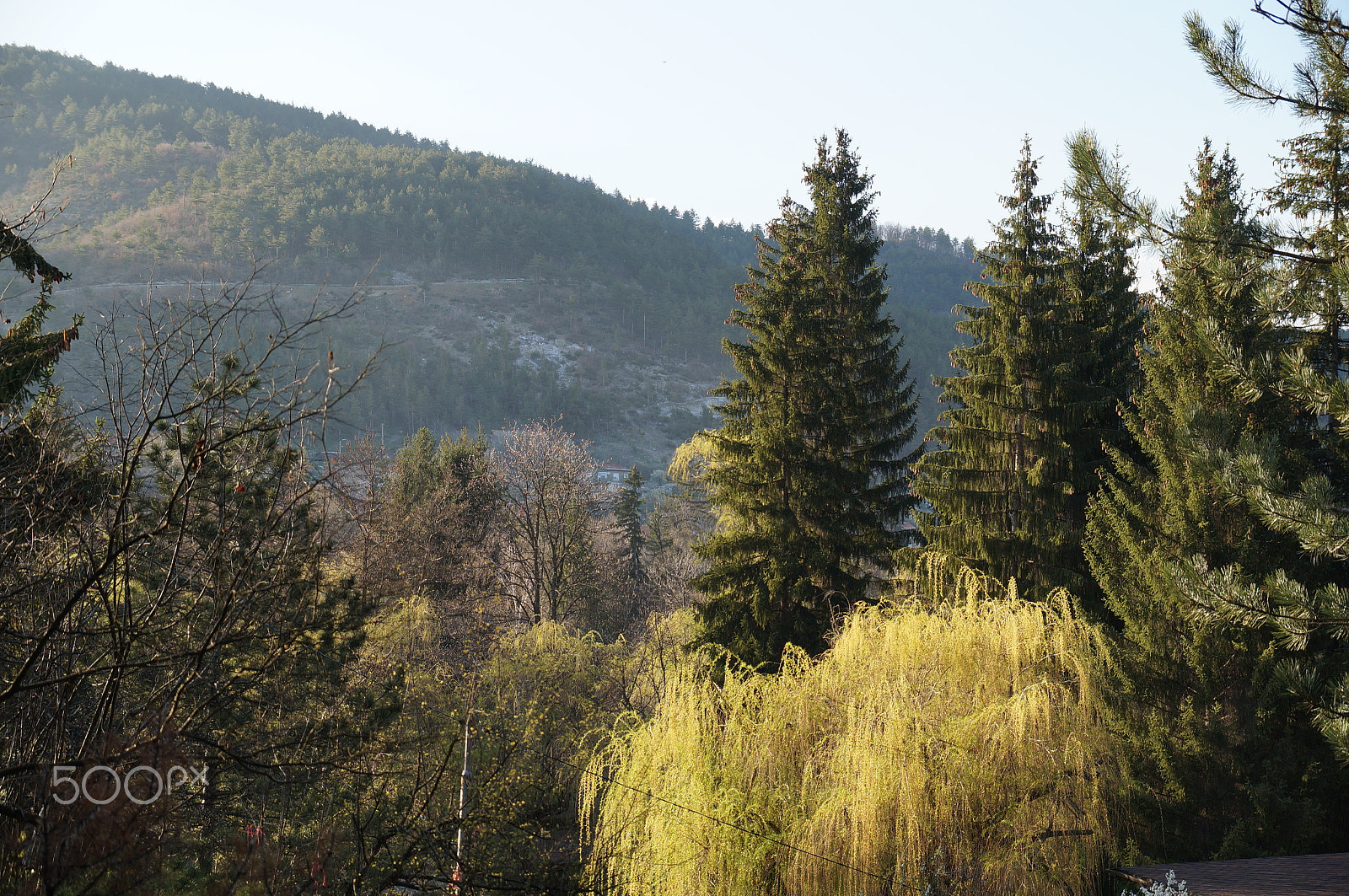 Sony DT 18-135mm F3.5-5.6 SAM sample photo. Autumn forest in rila photography