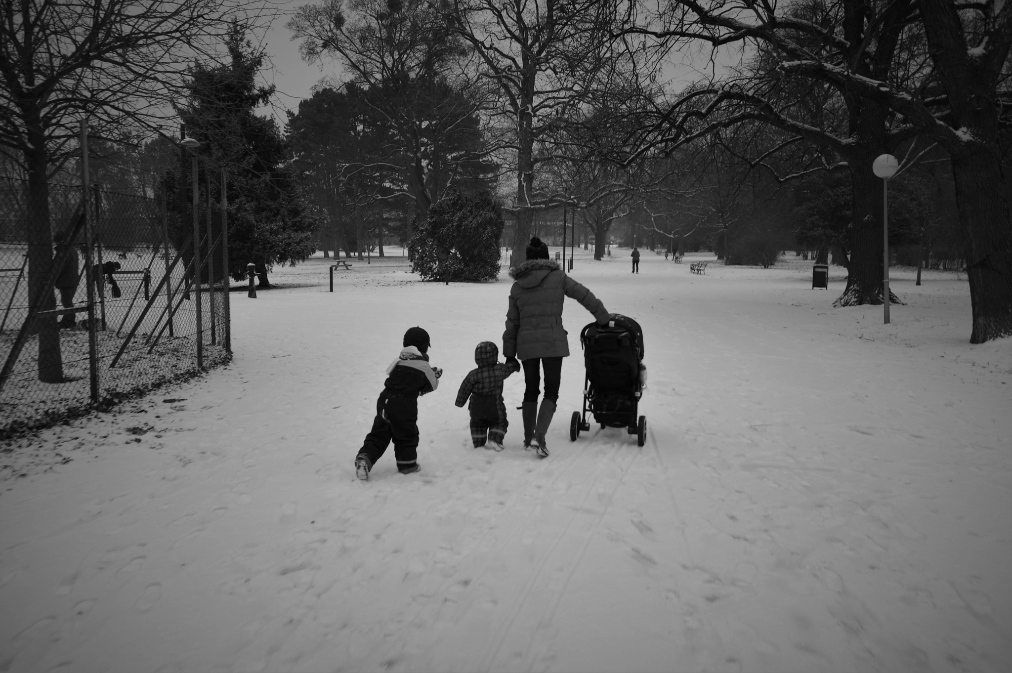 Sigma 10-20mm F3.5 EX DC HSM sample photo. A minute after the snow photography