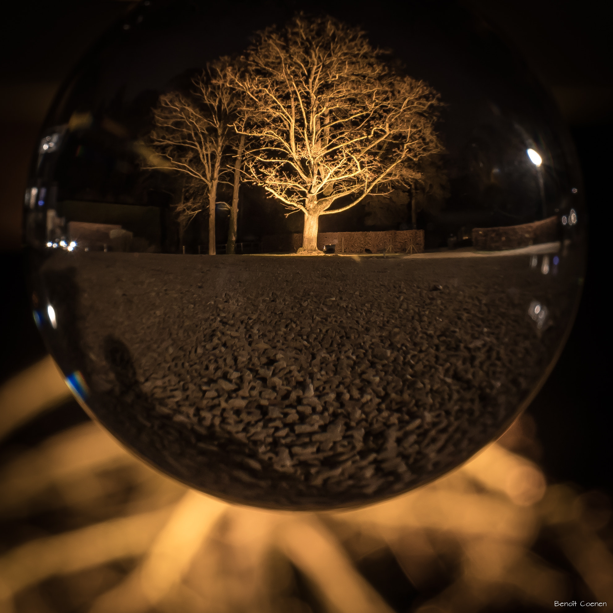 Nikon D5500 + Sigma 18-35mm F1.8 DC HSM Art sample photo. Boule arbre photography