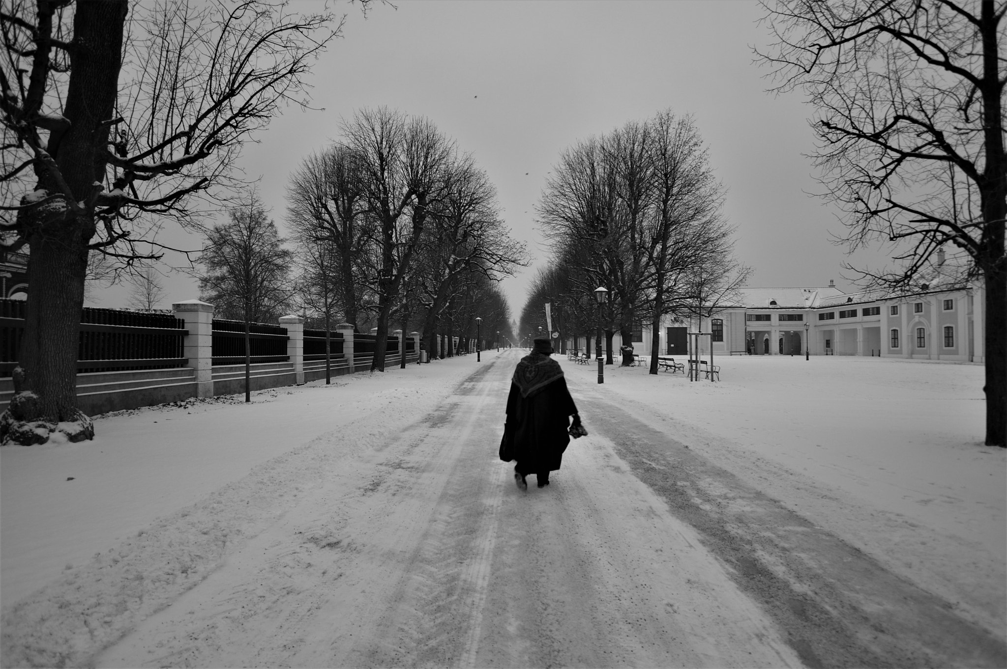 Sigma 10-20mm F3.5 EX DC HSM sample photo. A minute after the snow photography