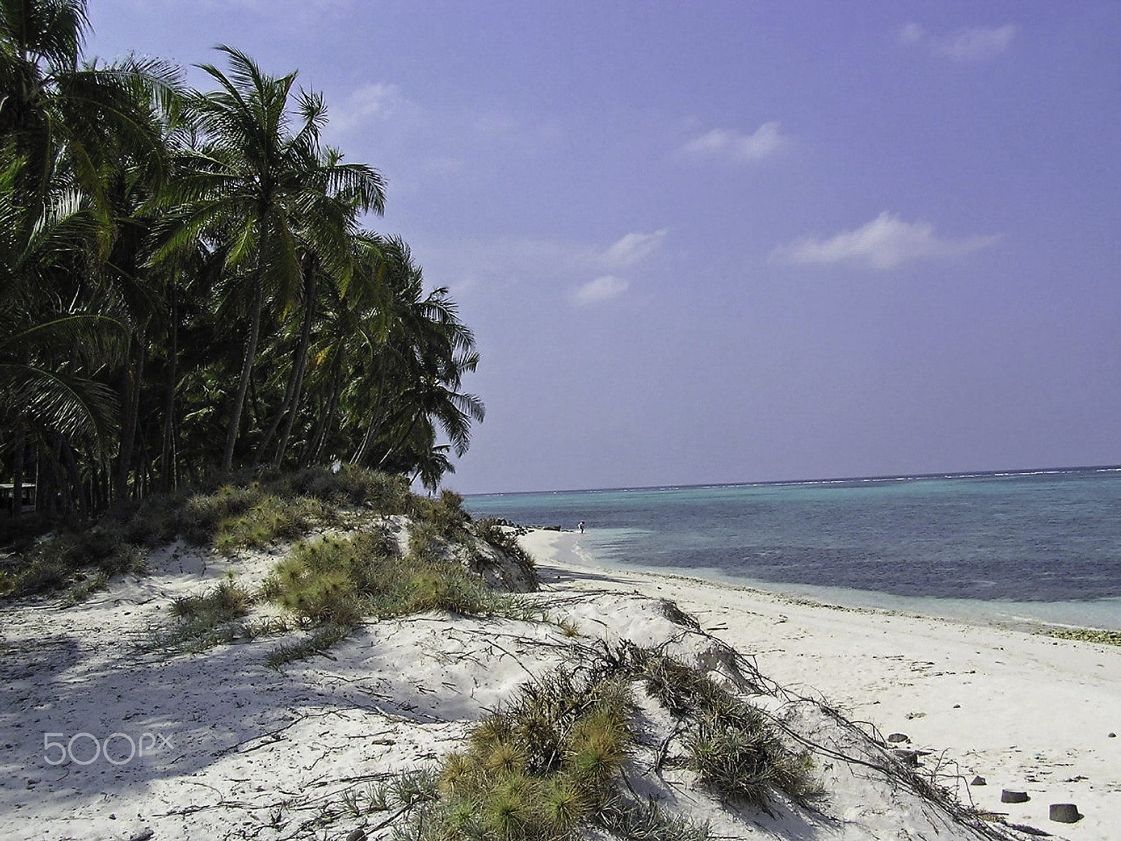 Olympus C750UZ sample photo. Coconut trees, sandy beach, and blue water of the lakshadweep is photography