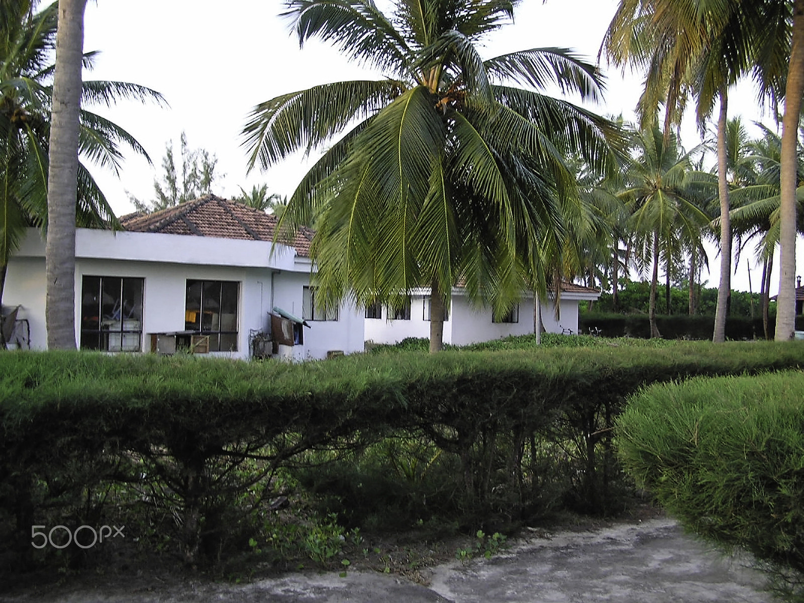 Olympus C750UZ sample photo. Guest cottages and coconut trees at kadamat island in the laksha photography