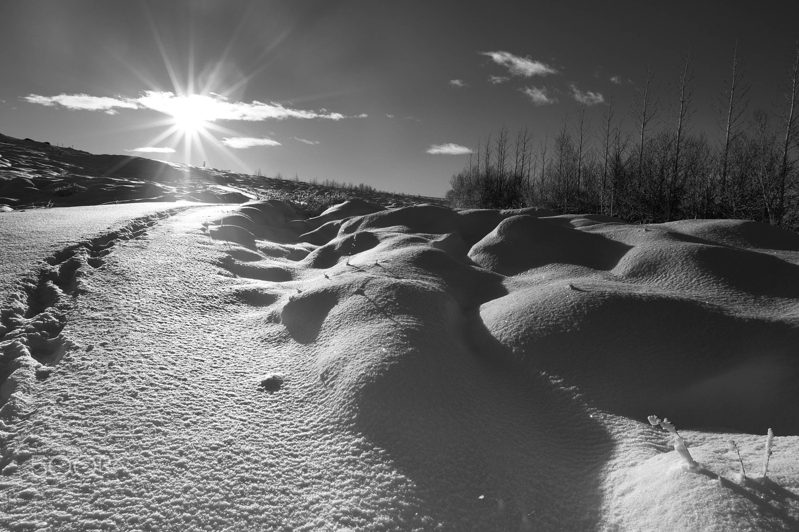Canon EF 16-35mm F2.8L II USM sample photo. Track in the snow photography