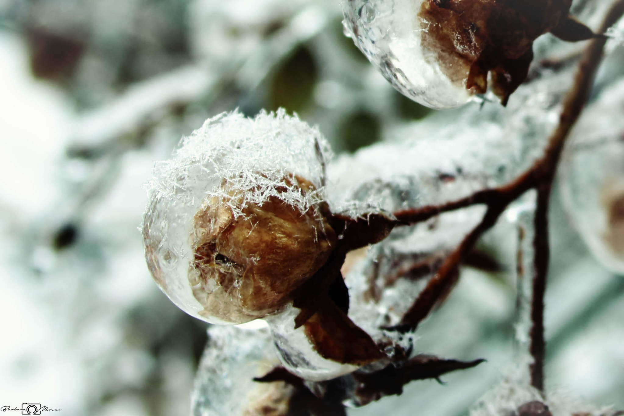 Sigma 18-50mm f/3.5-5.6 DC sample photo. Ice cap photography