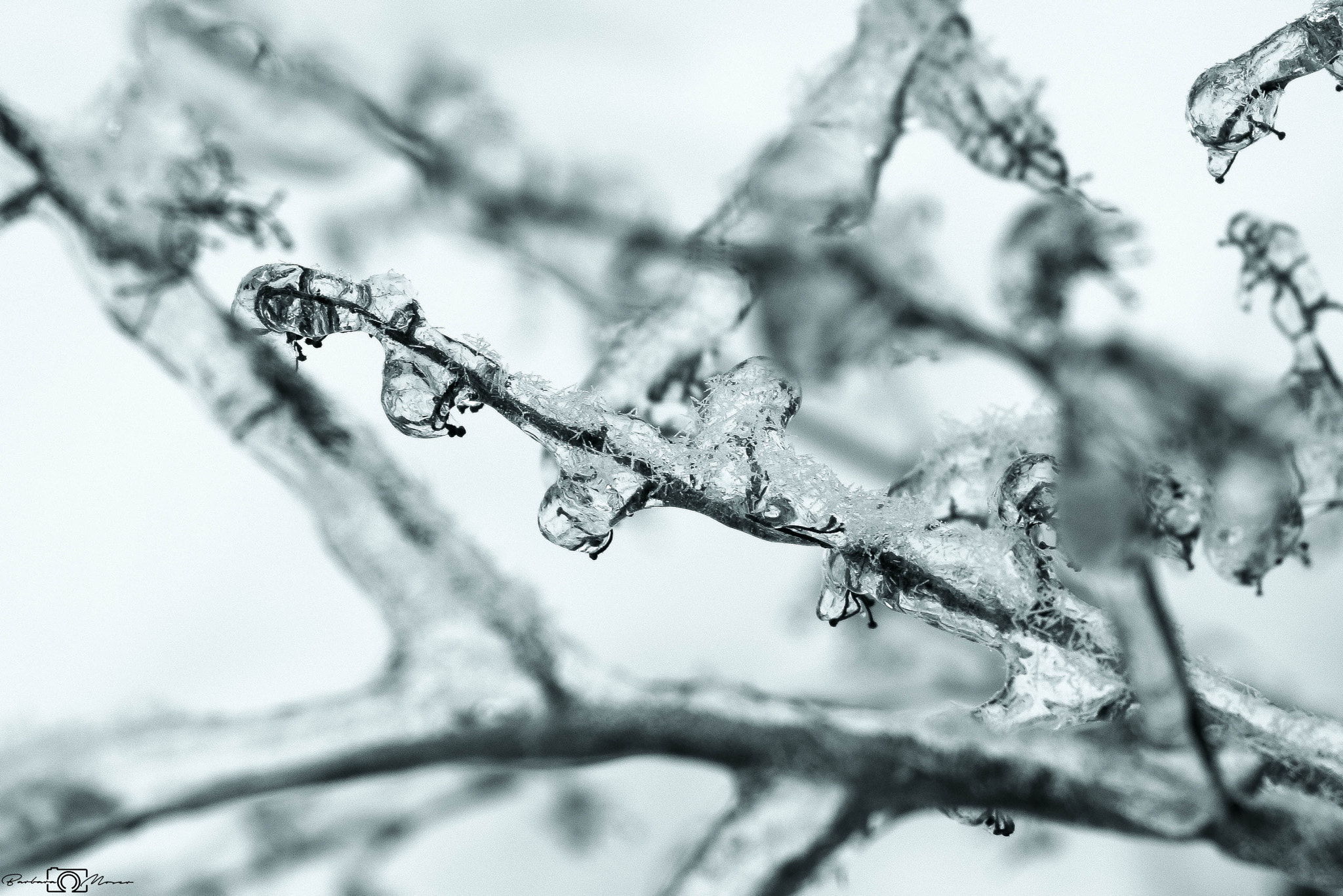 Sigma 18-50mm f/3.5-5.6 DC sample photo. Nature goes crazy photography