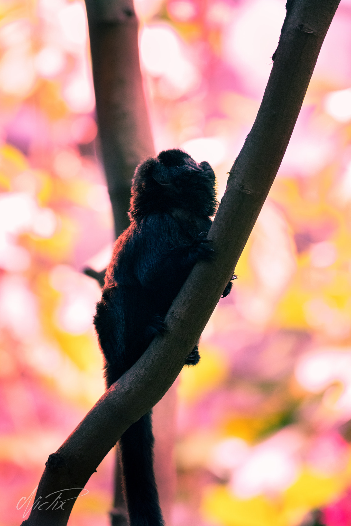 150-600mm F5-6.3 DG OS HSM | Contemporary 015 sample photo