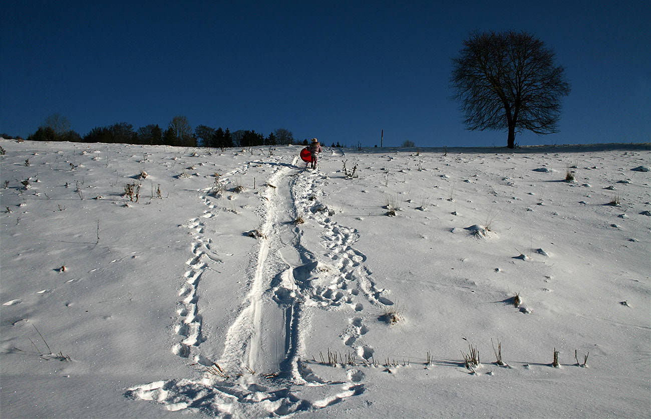 Canon EOS 400D (EOS Digital Rebel XTi / EOS Kiss Digital X) + Canon EF 50mm f/1.8 sample photo. ... winter plays ... photography