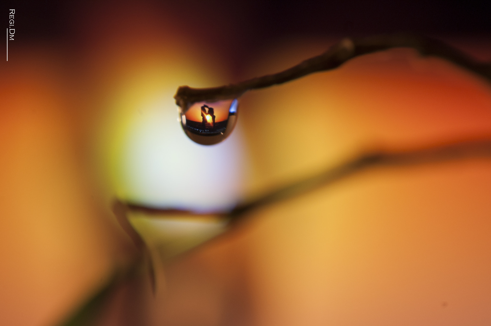 Nikon AF-S DX Micro Nikkor 40mm F2.8 sample photo. A couple in a drop photography