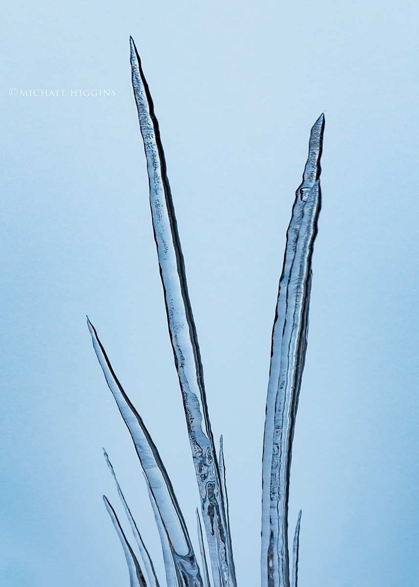 Nikon AF-S Nikkor 70-200mm F2.8G ED VR II sample photo. Ice bouquet photography