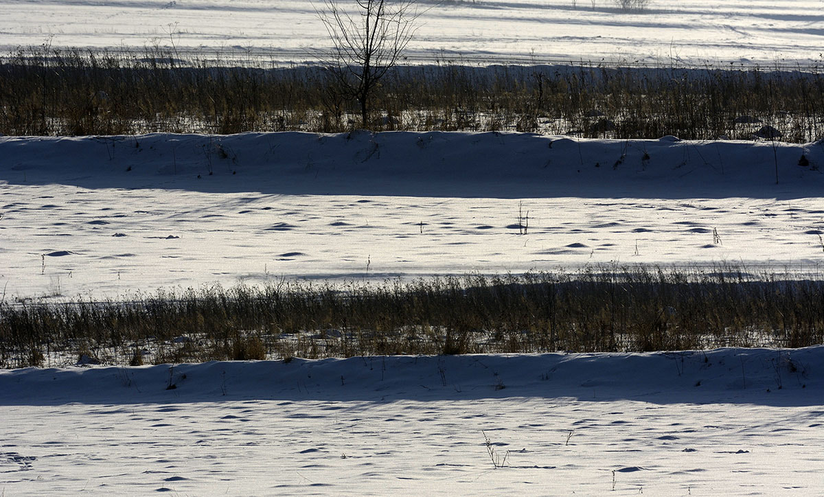 Zeiss Milvus 85mm f/1.4 sample photo. Winter photography