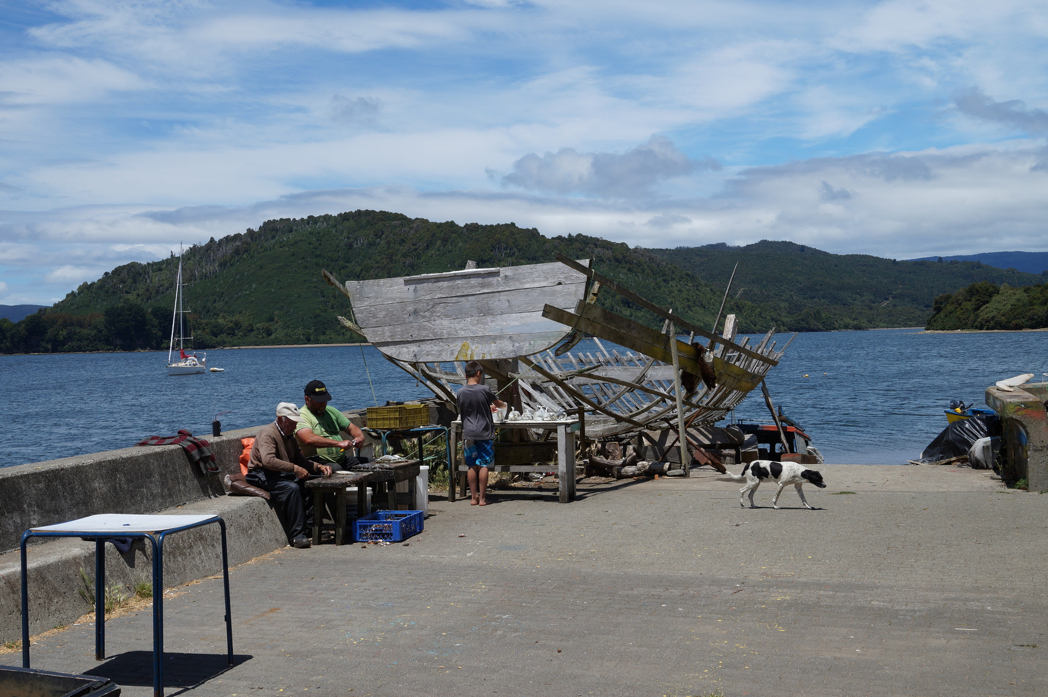 Sony E 18-50mm F4-5.6 sample photo. Dsco photography