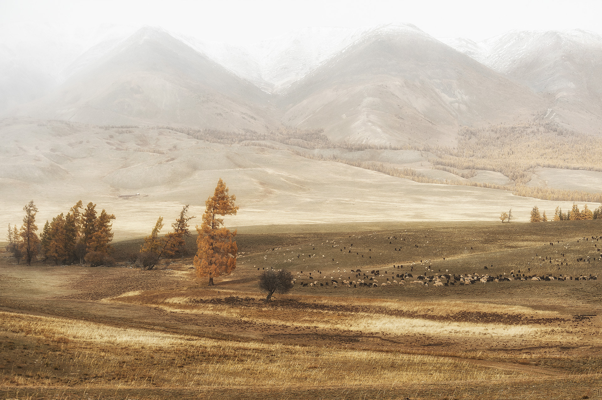 Nikon D700 sample photo. Autumn pastel photography
