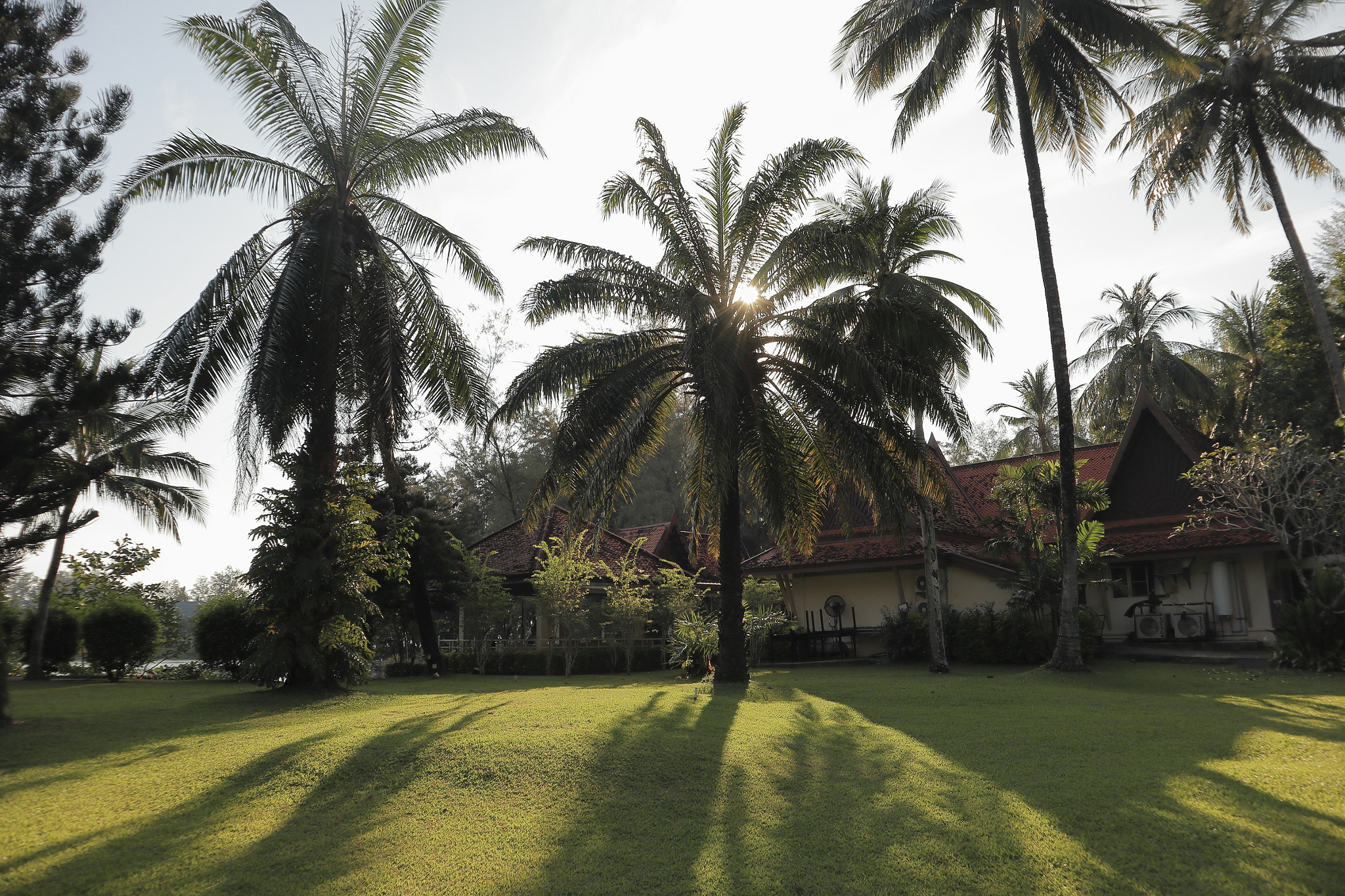 Canon EOS M5 sample photo. Angsana laguna phuket photography