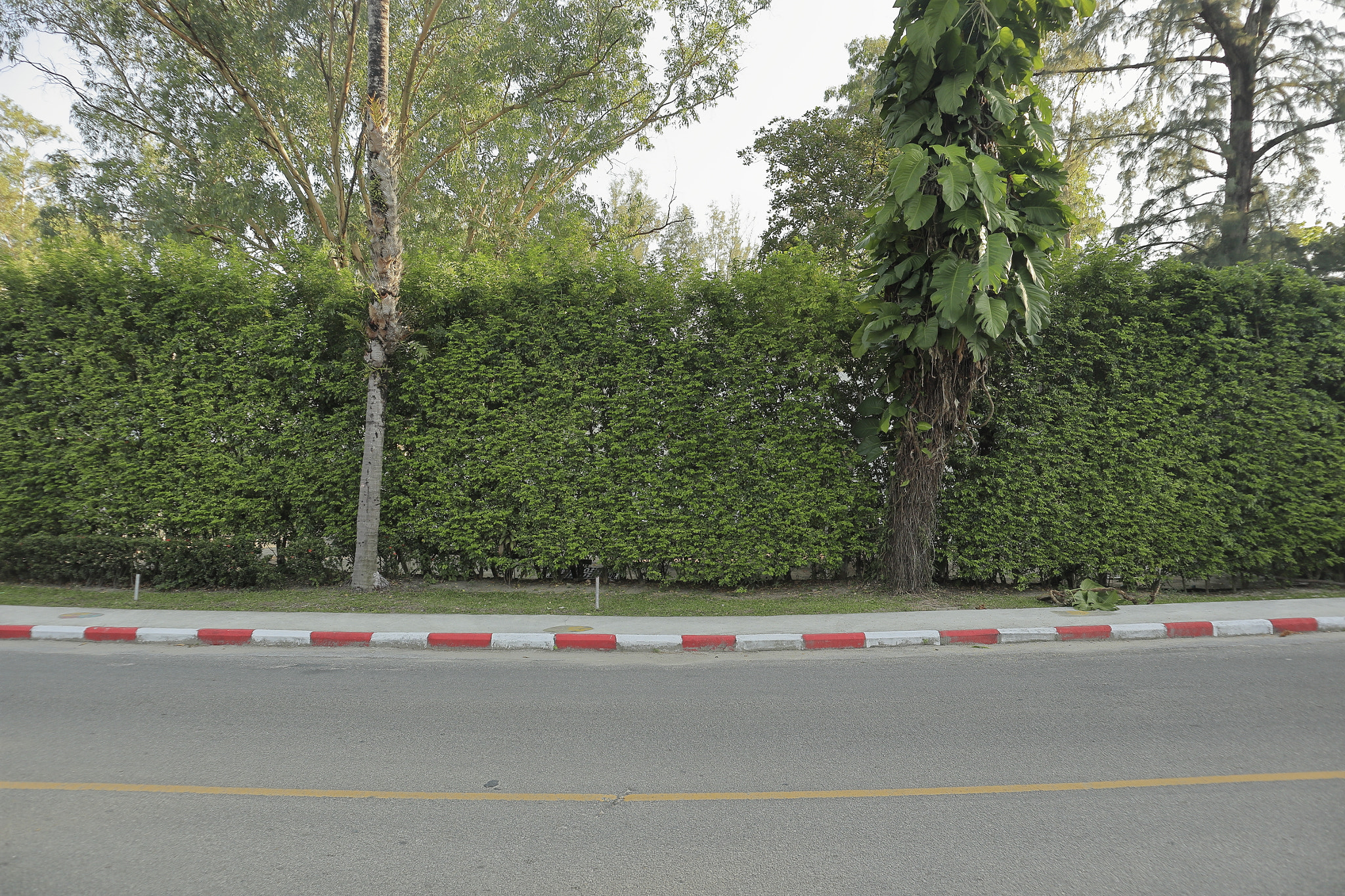 Canon EOS M5 sample photo. Angsana laguna phuket photography
