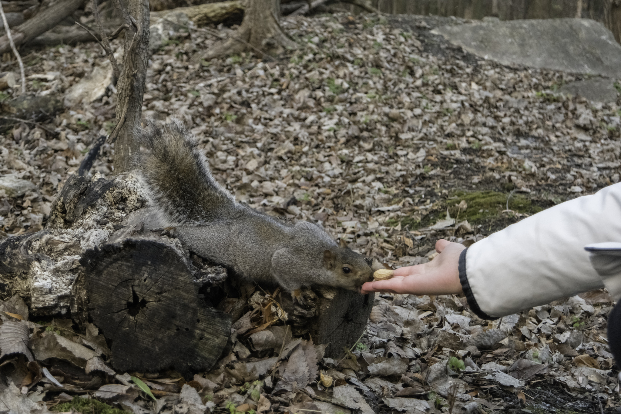 Samsung NX500 sample photo. Oups c'est mal parti! | oups i'm missed it! photography