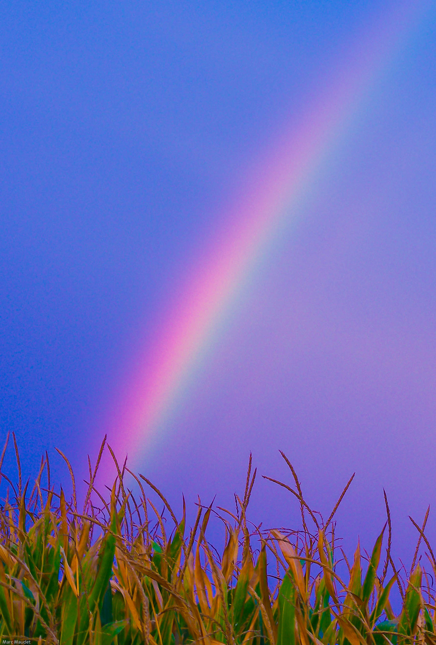Pentax smc DA 50mm F1.8 sample photo. Rainbow photography