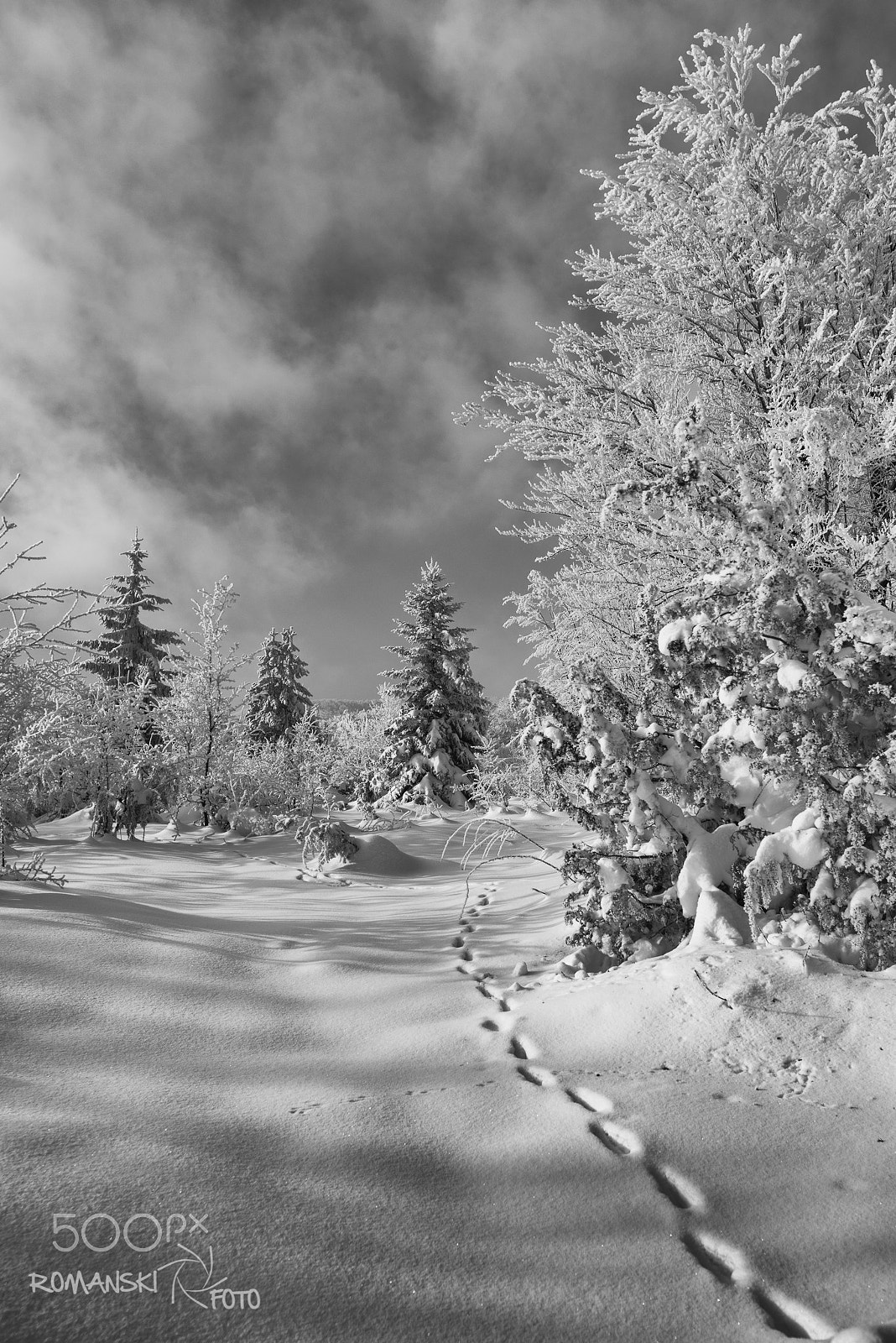 Tamron SP 15-30mm F2.8 Di VC USD sample photo. Steps in the snow photography