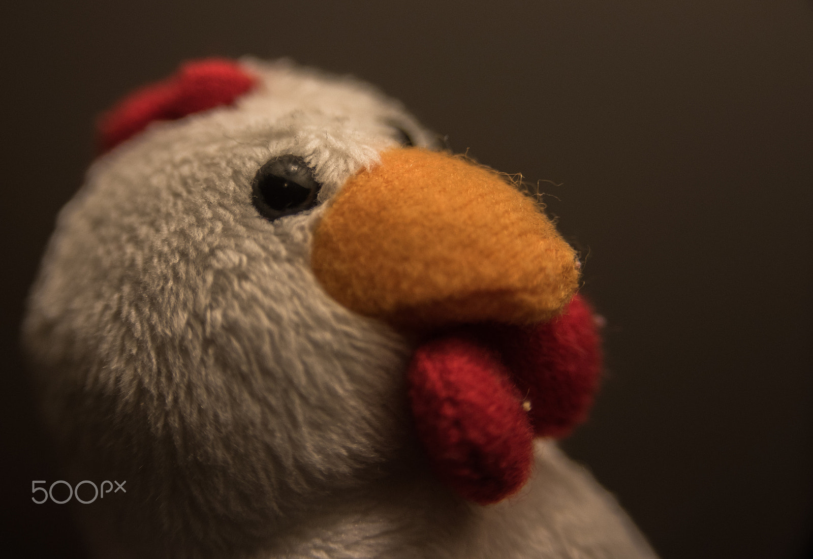 Nikon D750 + AF Zoom-Nikkor 28-105mm f/3.5-4.5D IF sample photo. Toy portraits - good looking chicken photography