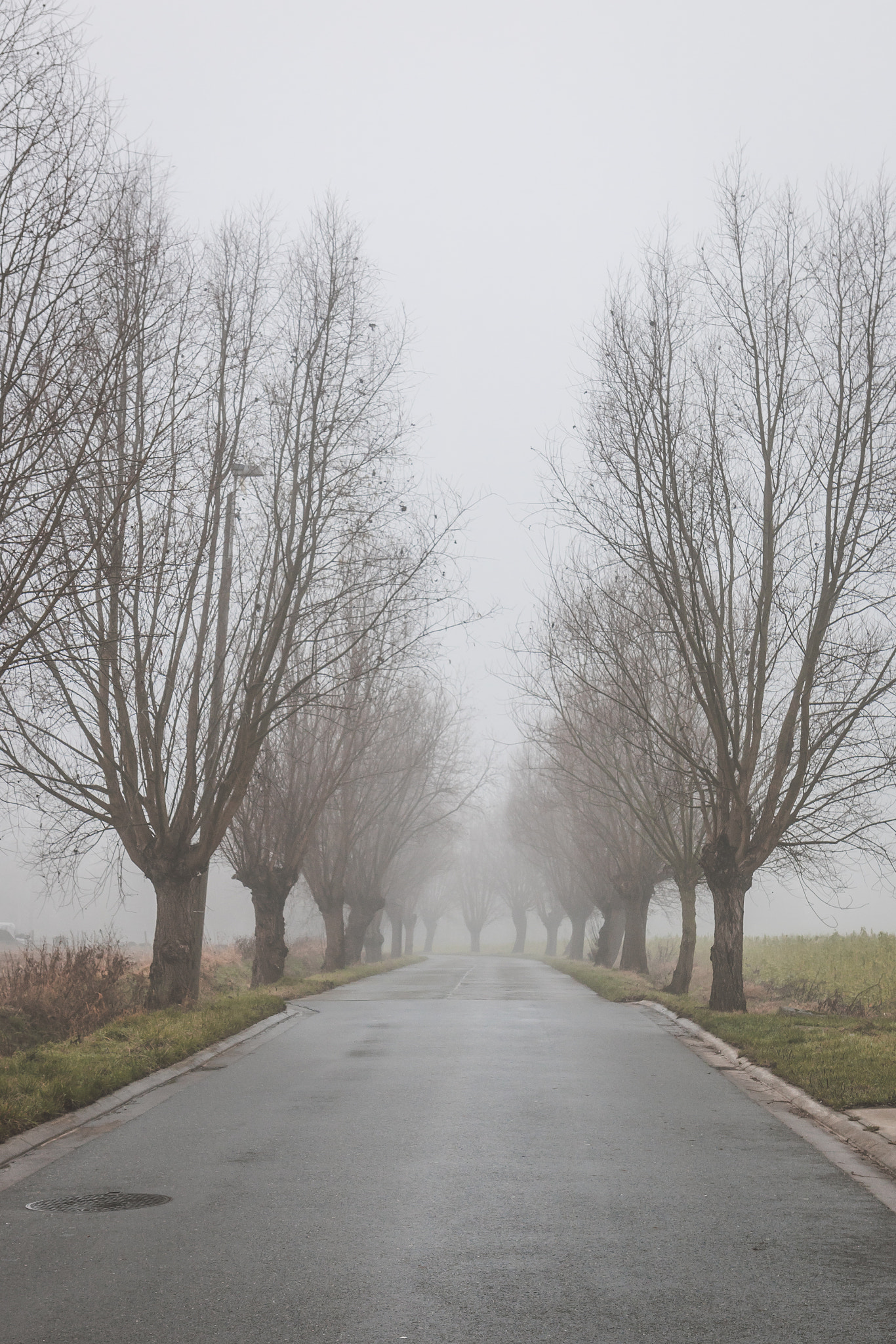 Canon EOS 750D (EOS Rebel T6i / EOS Kiss X8i) sample photo. Belgian country road photography