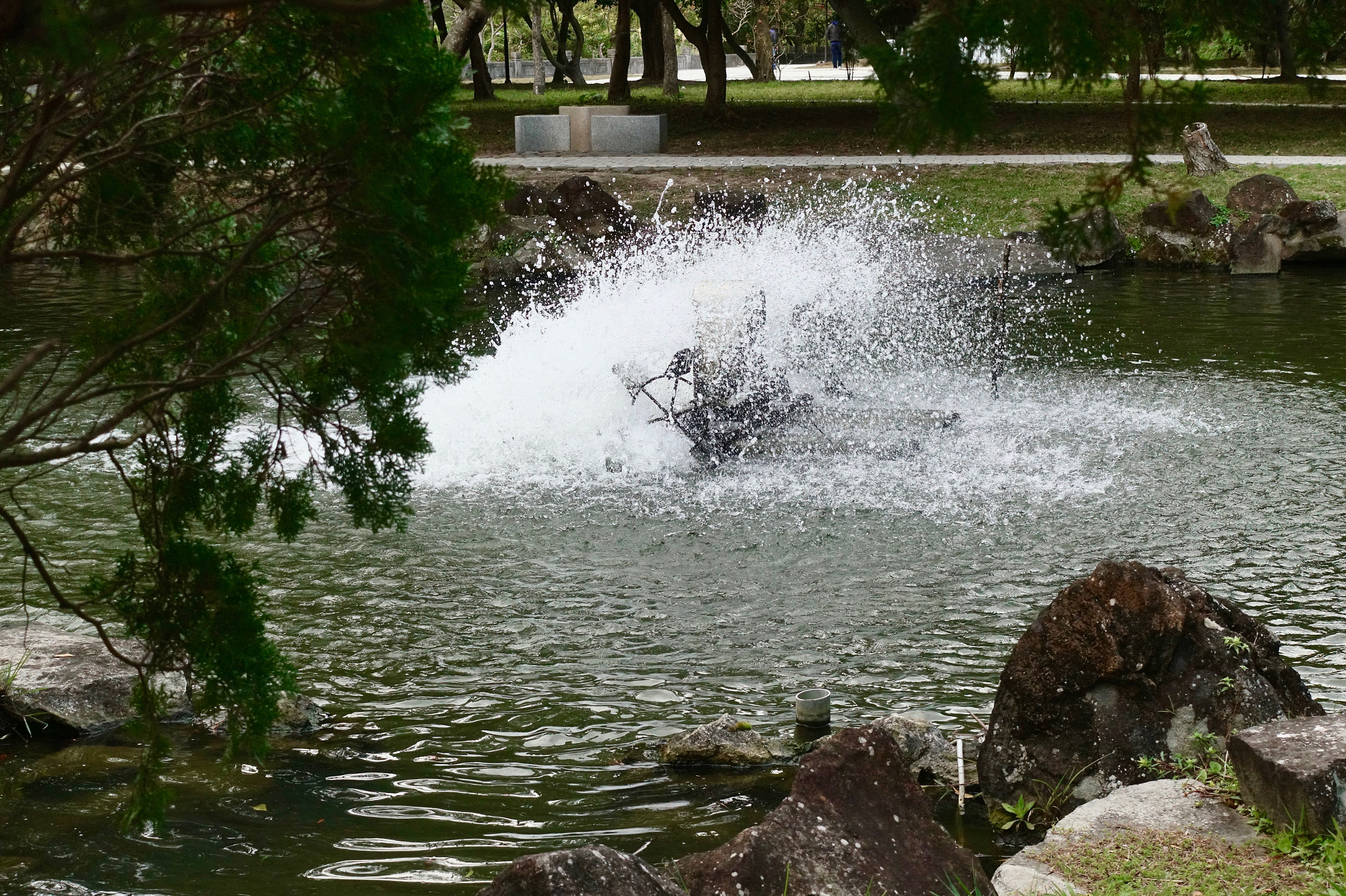 Sony DSC-RX100M5 + Sony 24-70mm F1.8-2.8 sample photo. Stirrers in fish pond photography