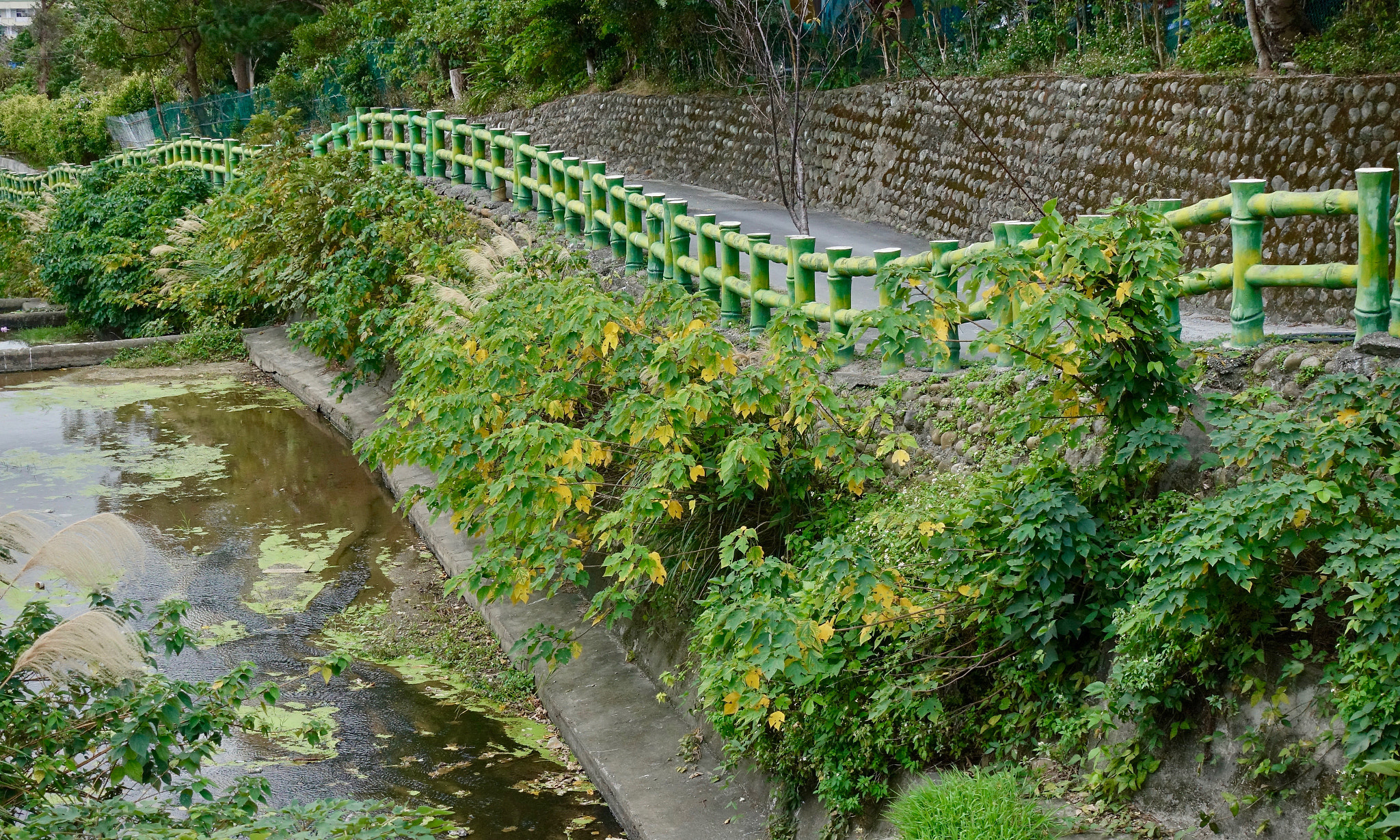 Sony DSC-RX100M5 + Sony 24-70mm F1.8-2.8 sample photo. Green yellow dragon photography